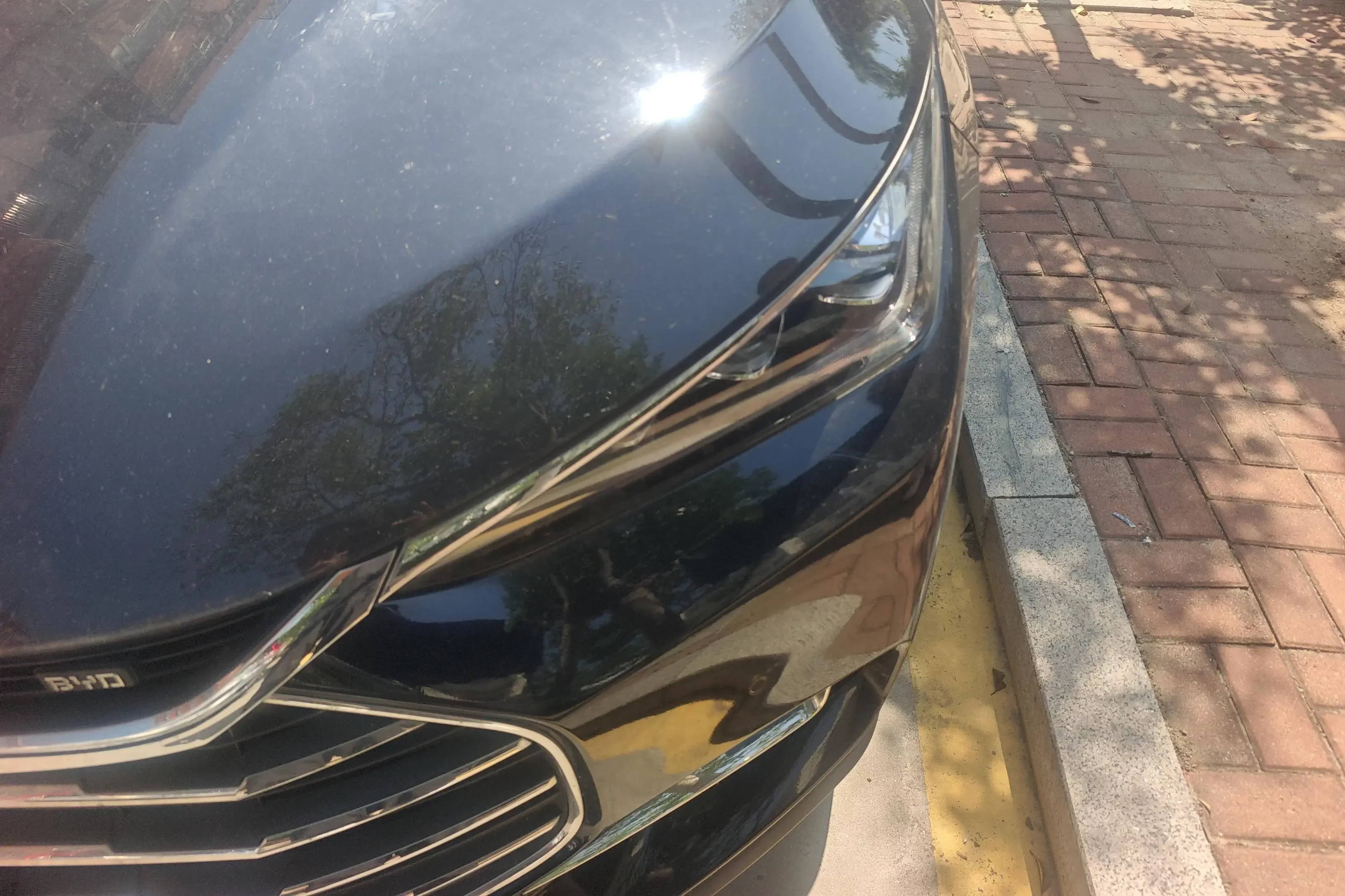 BYD Tang
