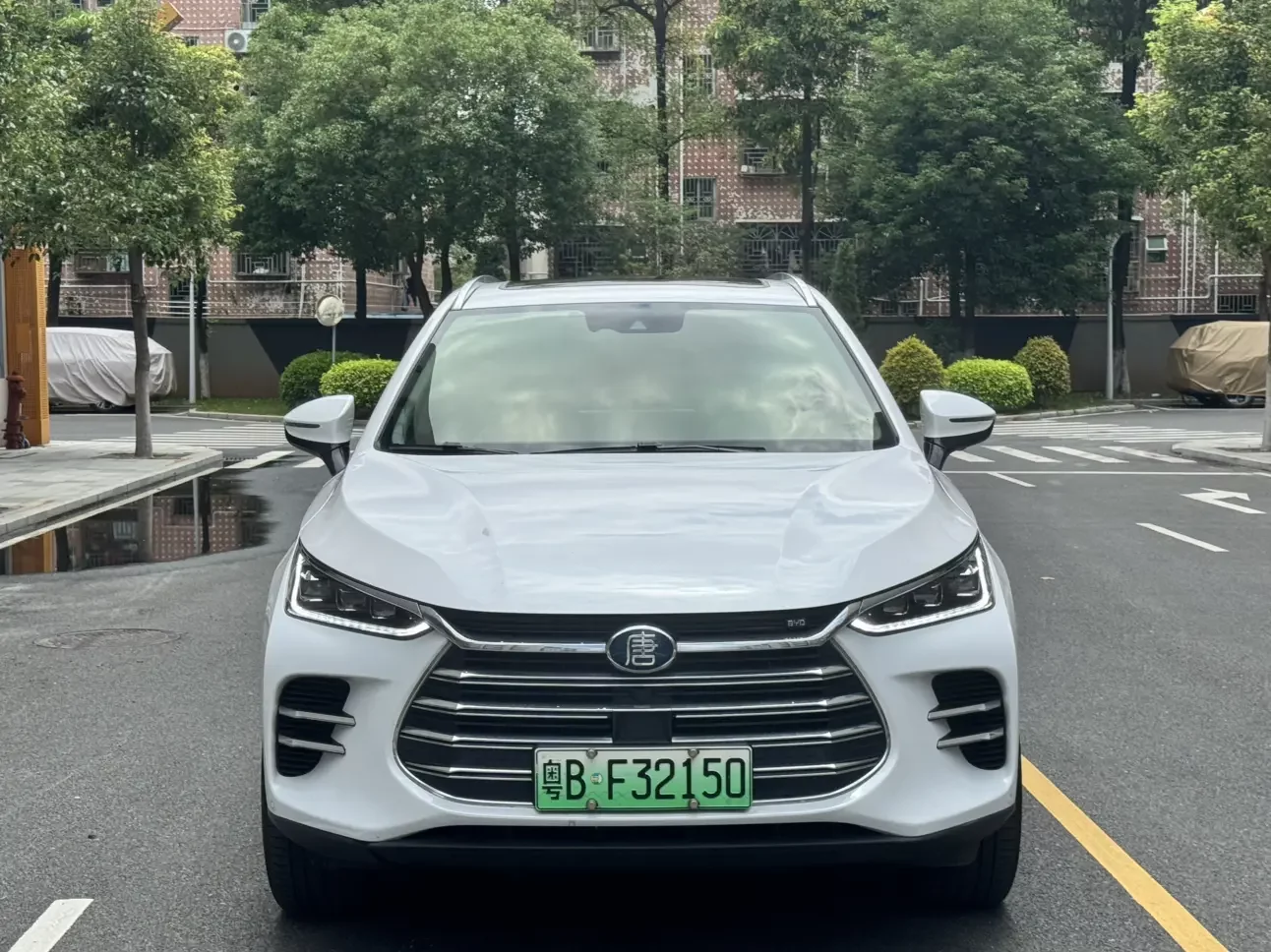 BYD Tang DM