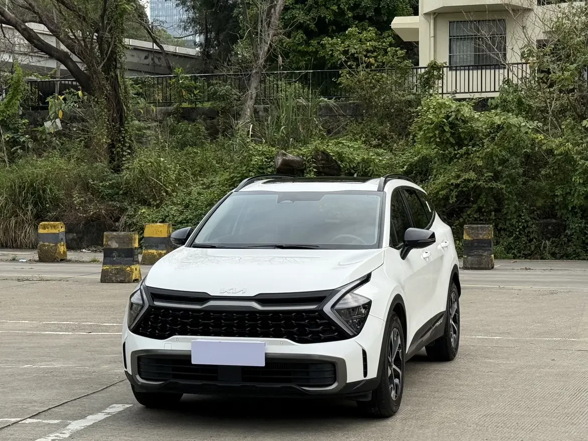 Kia Lion Platinum Expands the Boundary