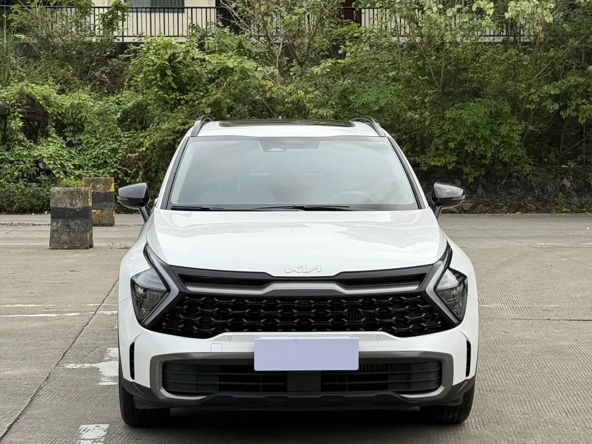 Kia Lion Platinum Expands the Boundary