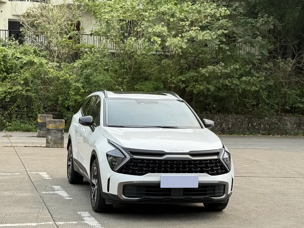 Kia Lion Platinum Expands the Boundary