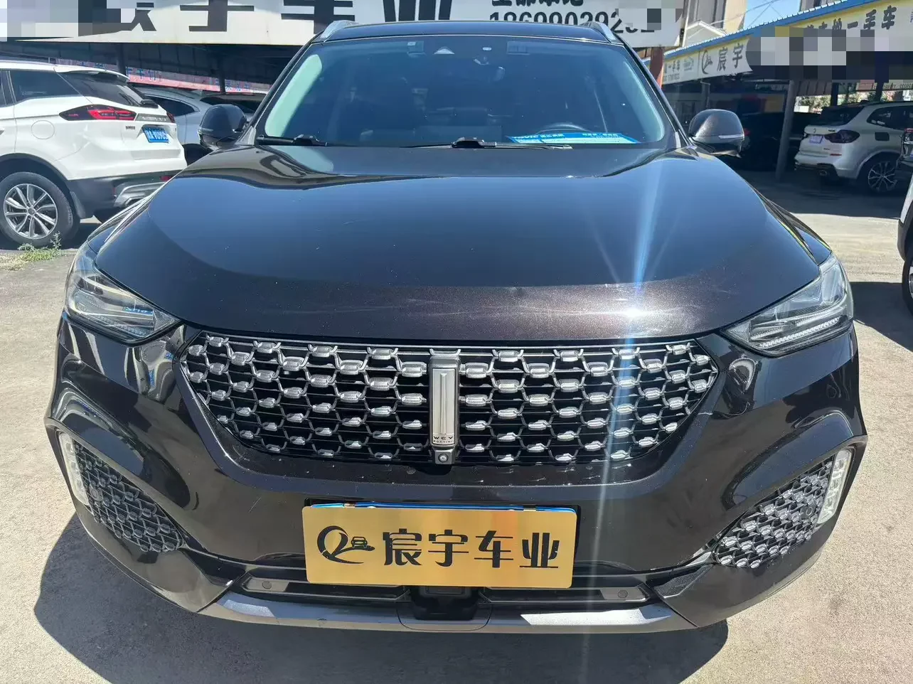 Wey Wei brand VV6