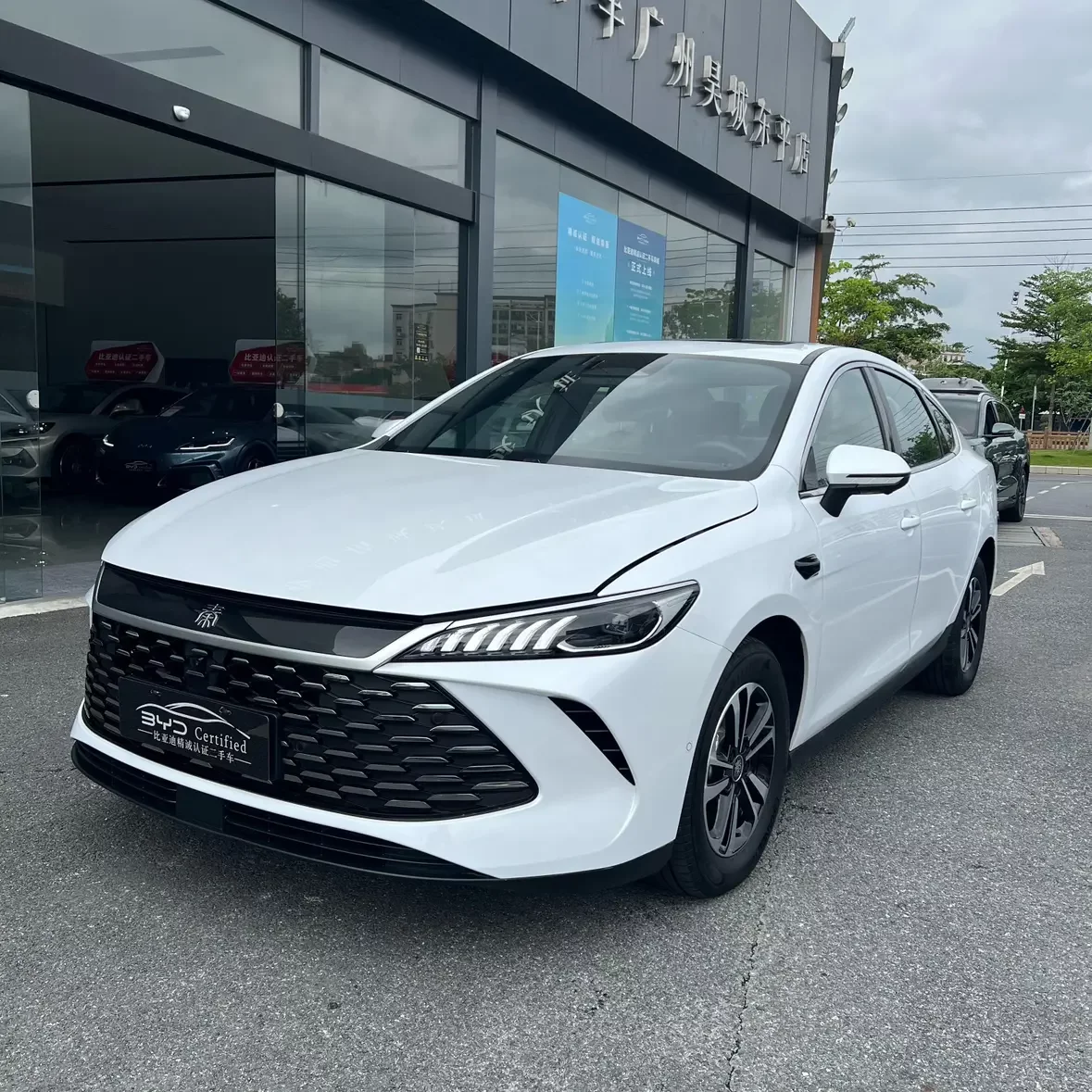 BYD Qin PLUS DM
