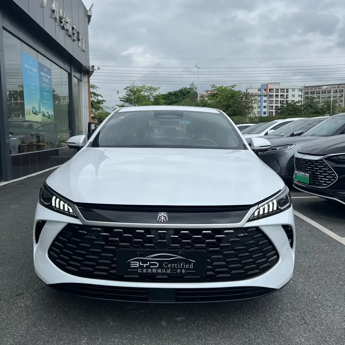 BYD Qin PLUS DM