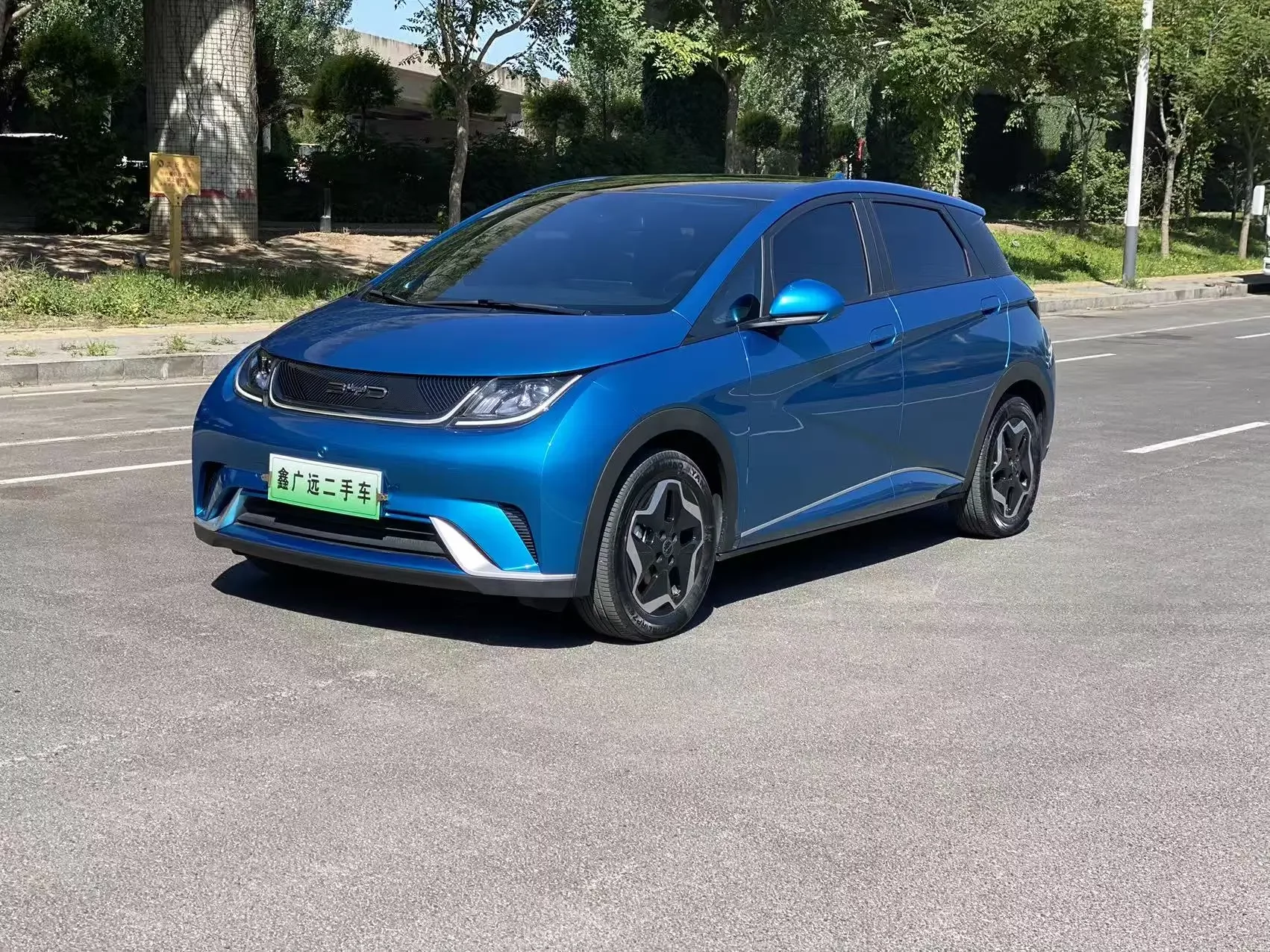 BYD dolphin