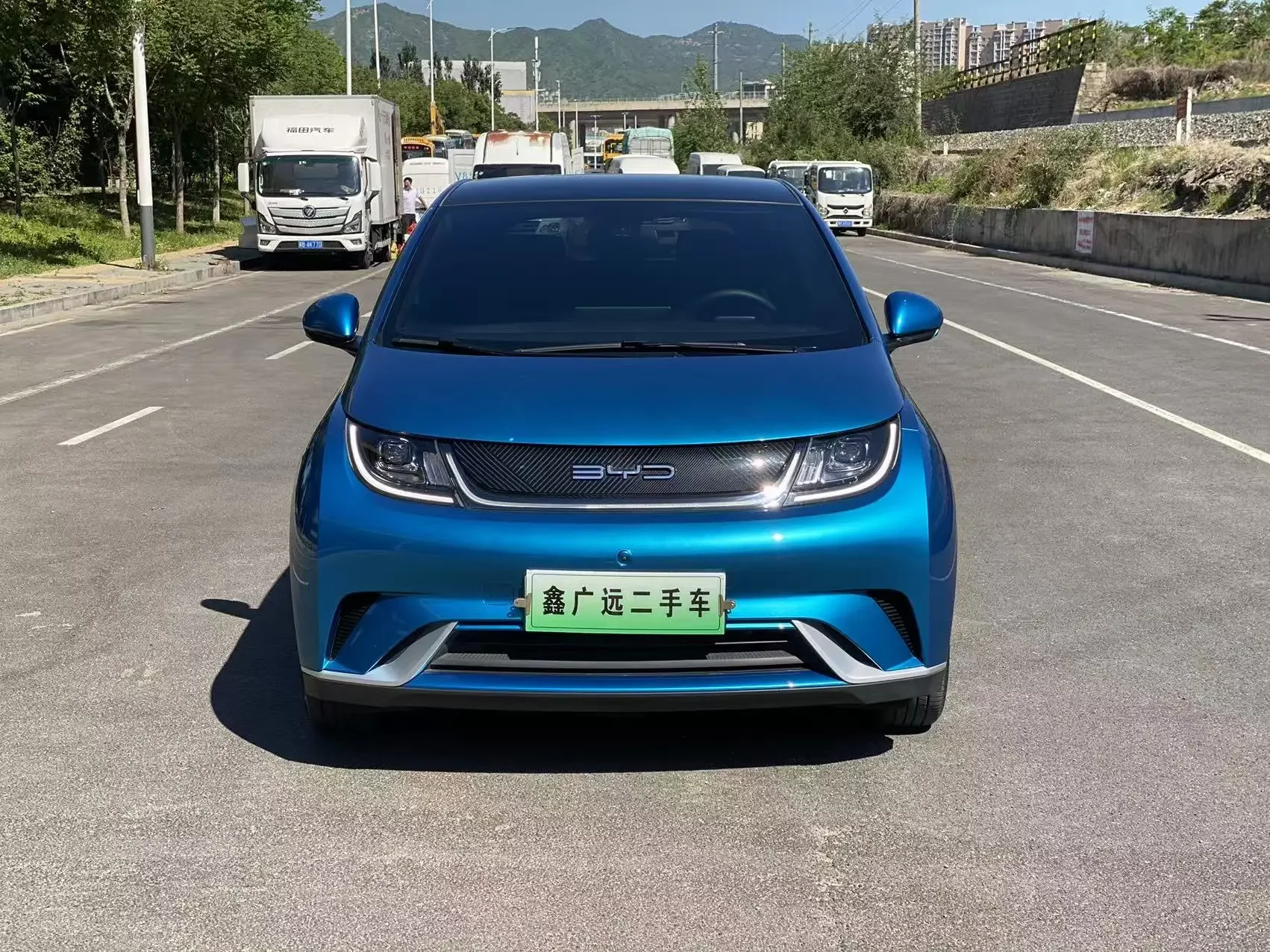 BYD dolphin