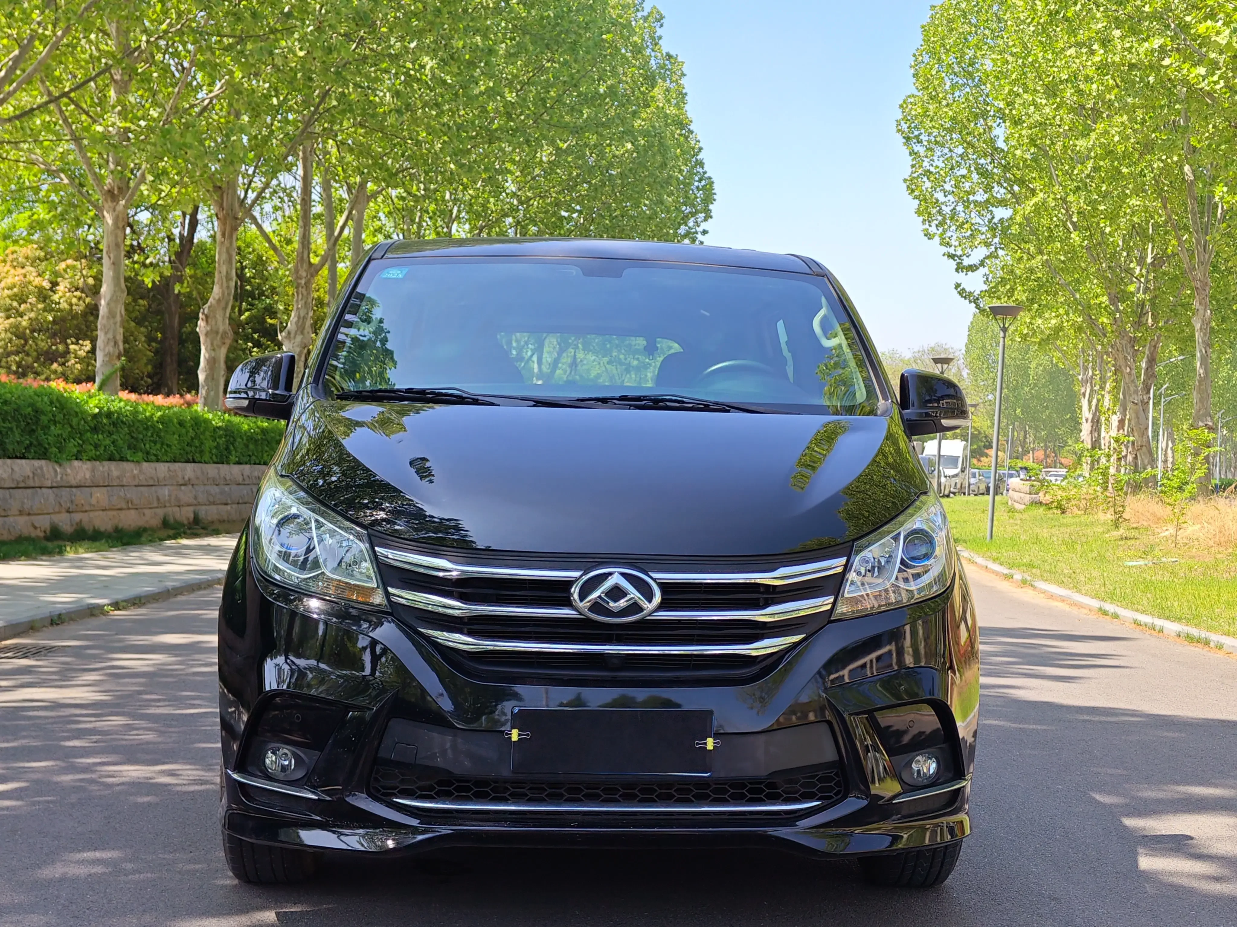 Datong Maxus G10