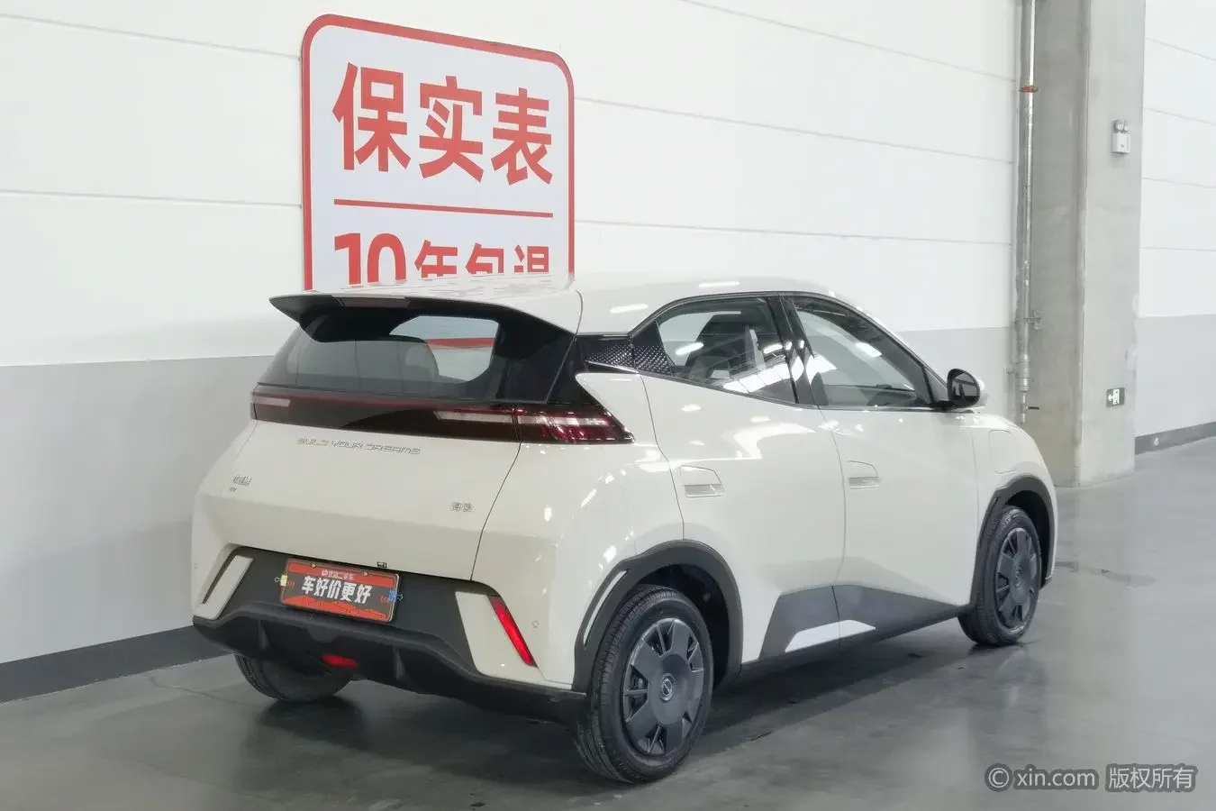 BYD seagull