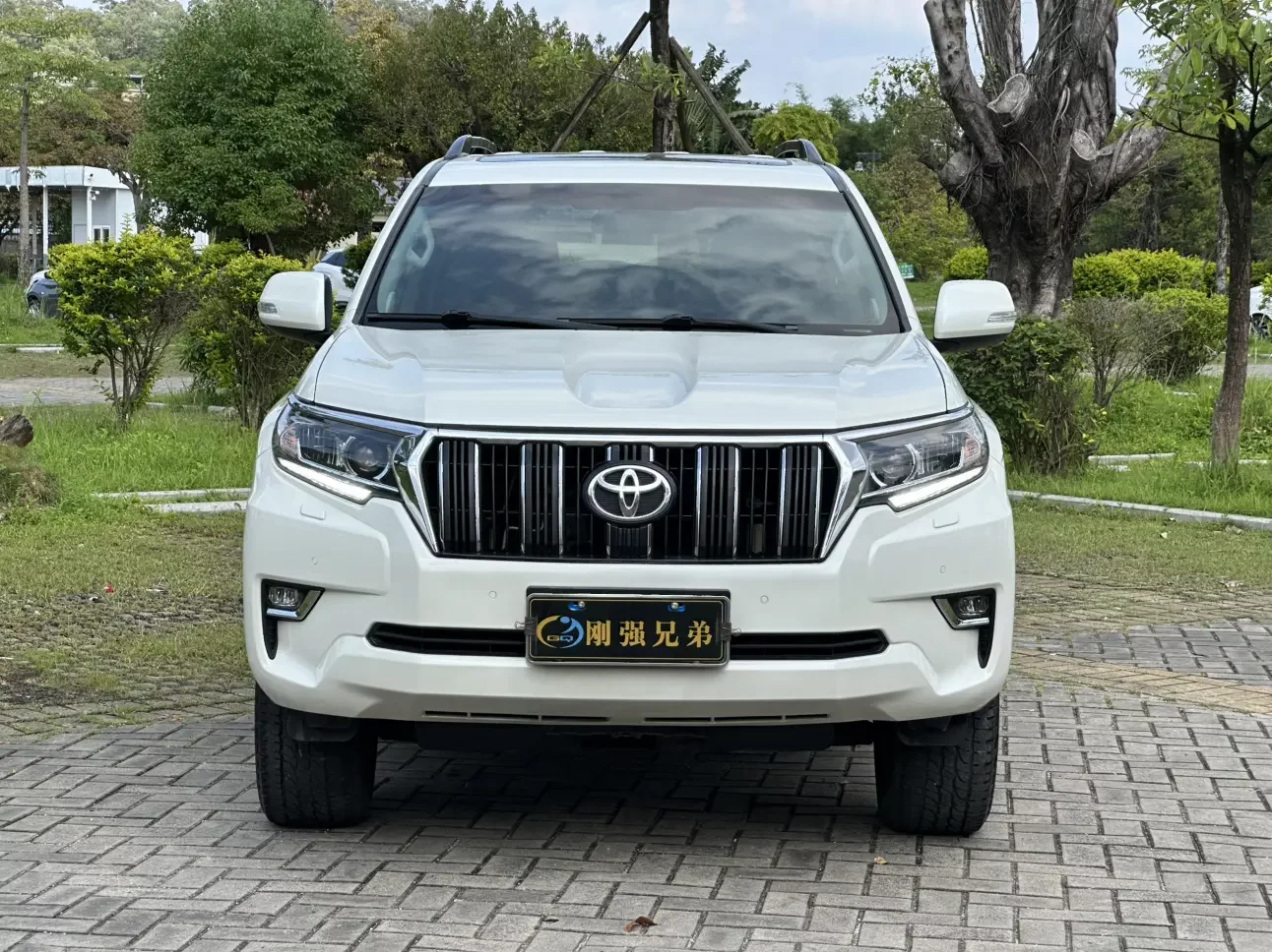 Toyota prado