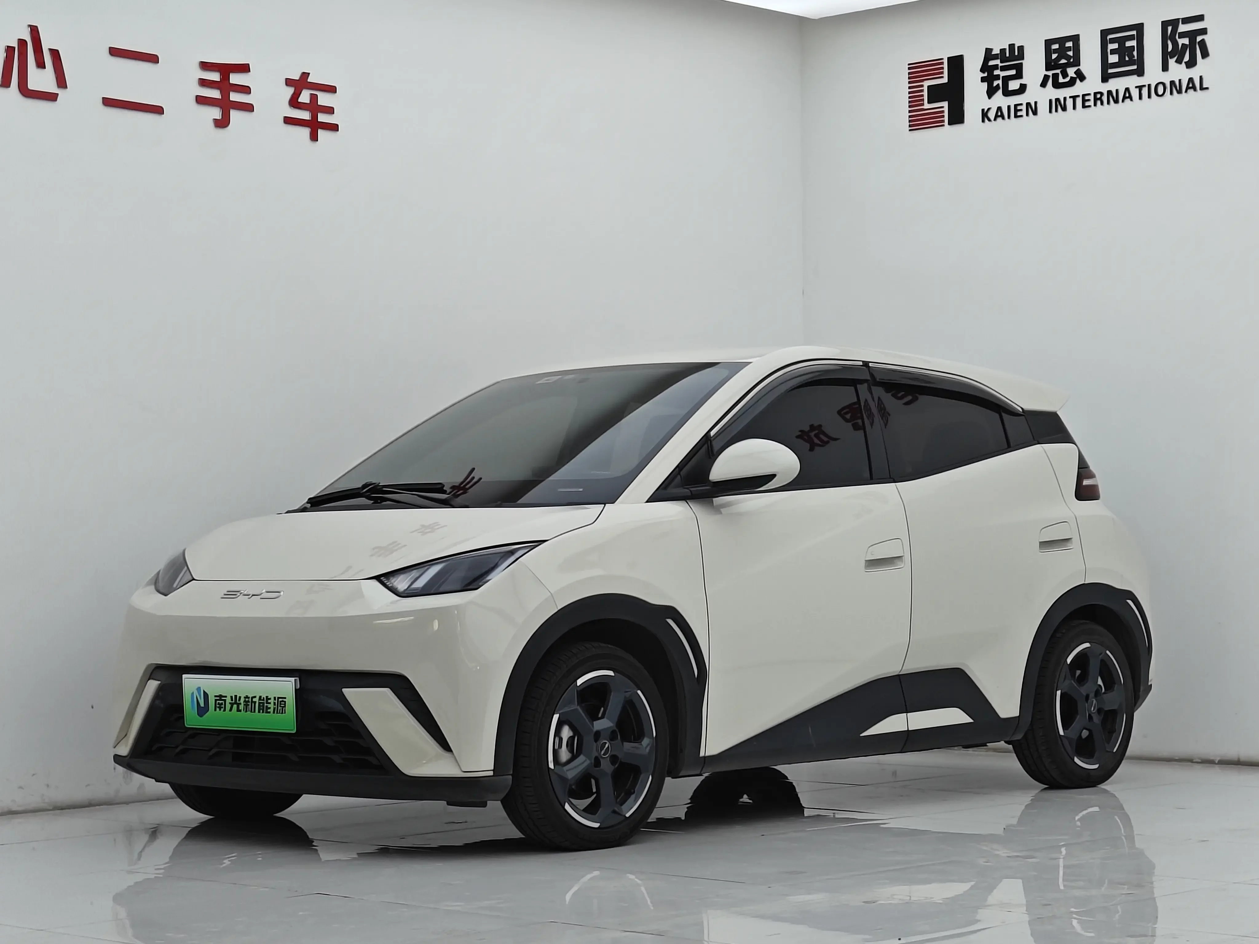 BYD seagull