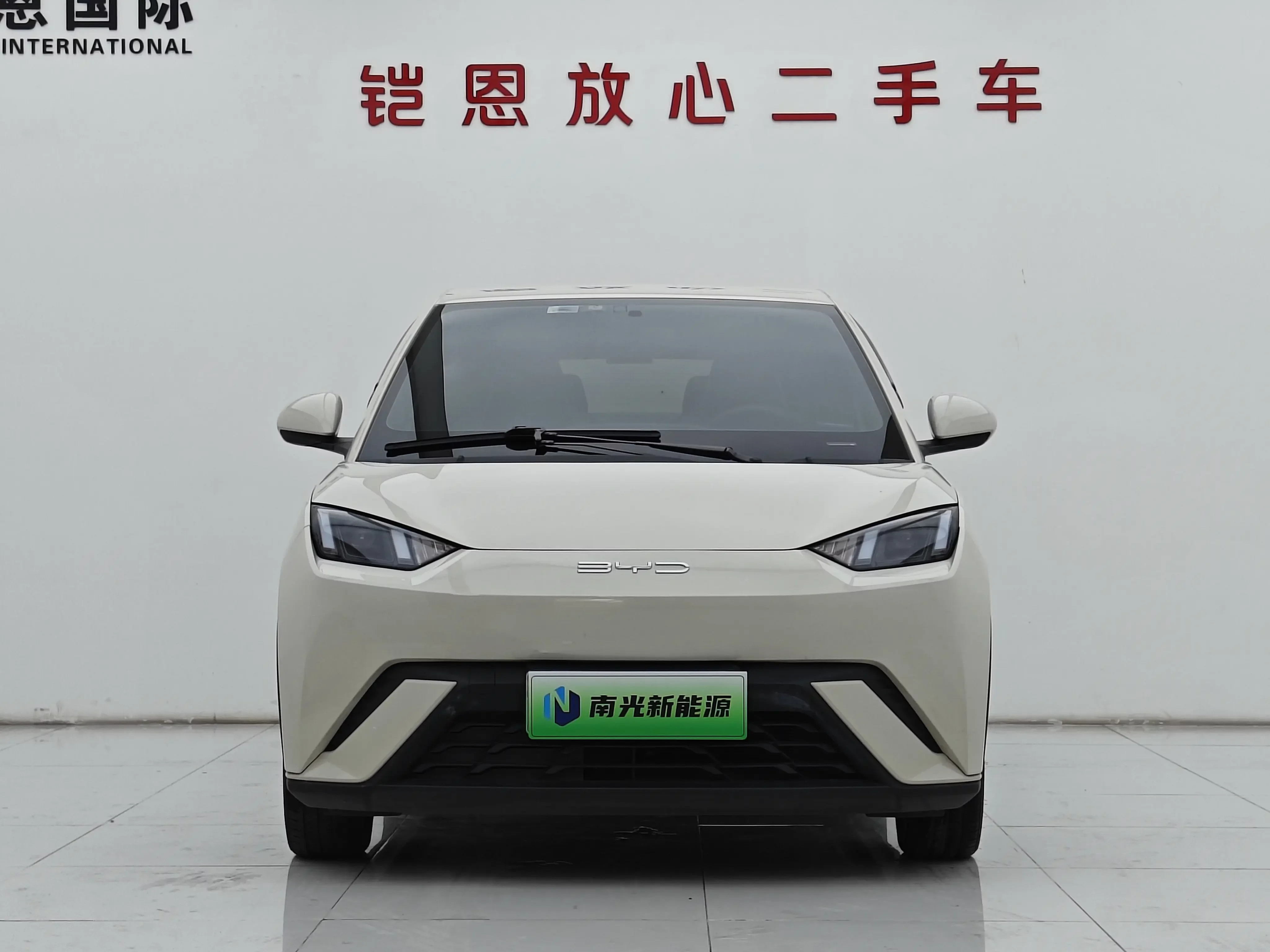 BYD seagull