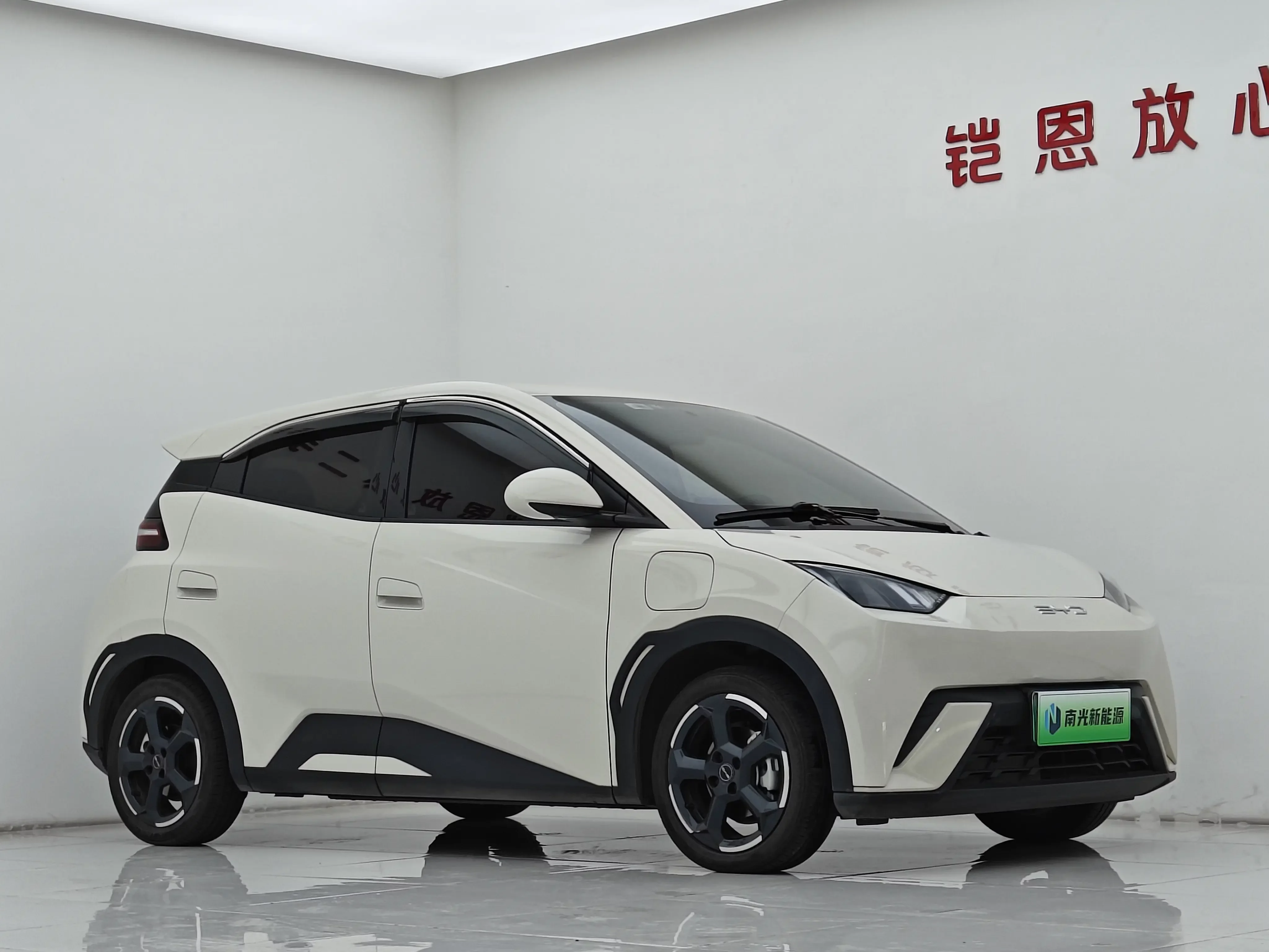 BYD seagull