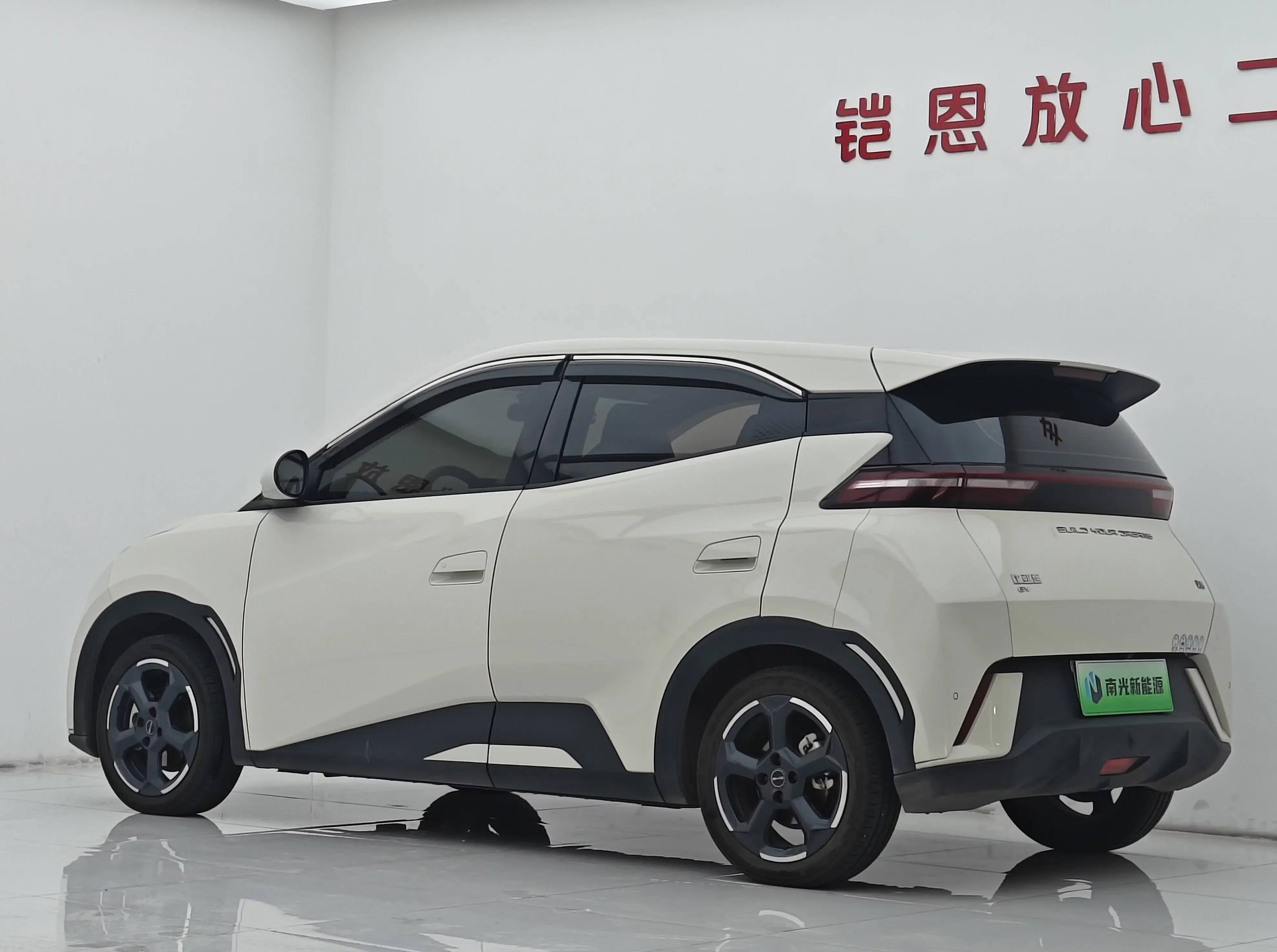 BYD seagull