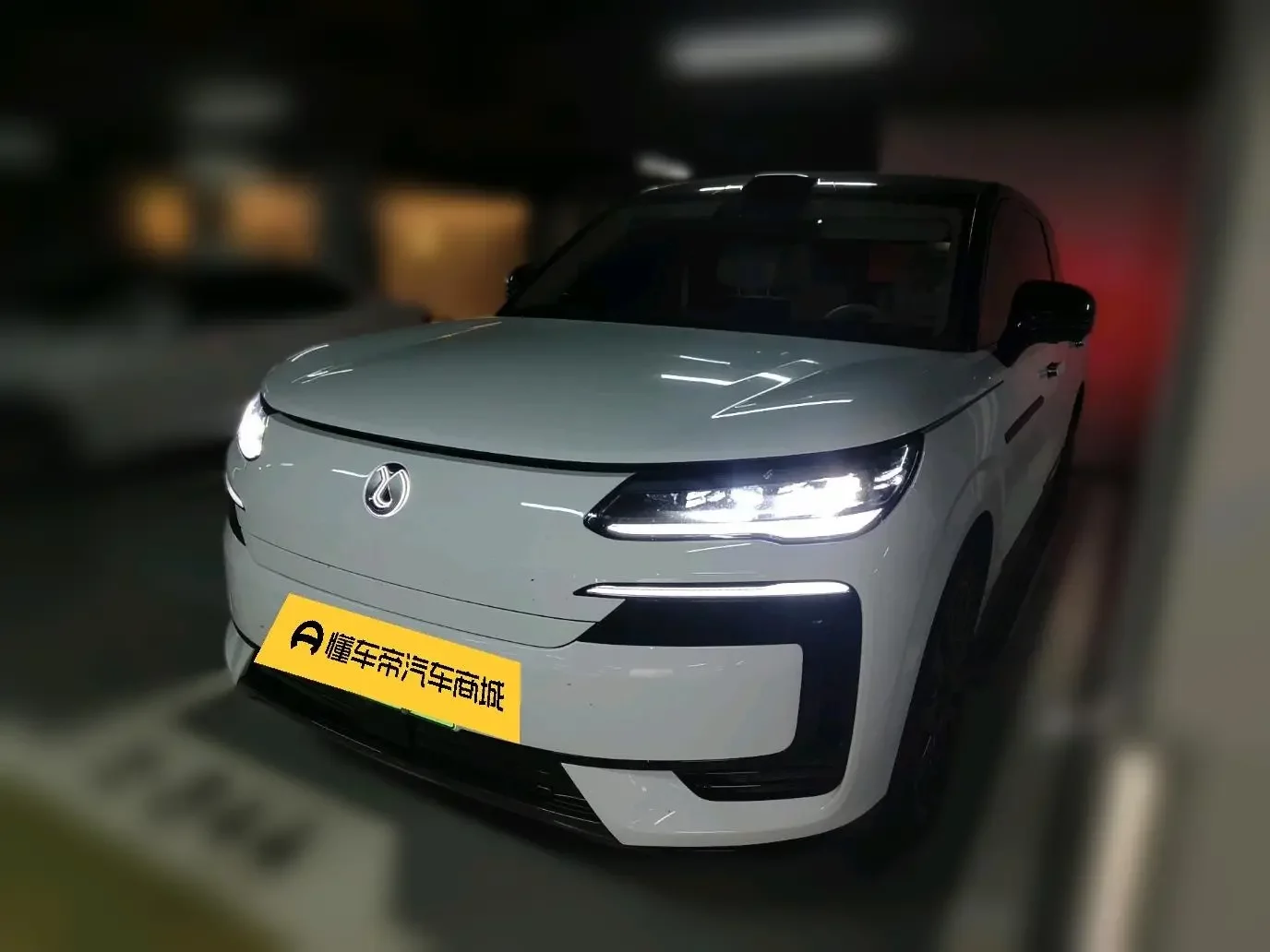 Denza Tengzhong N9 DM