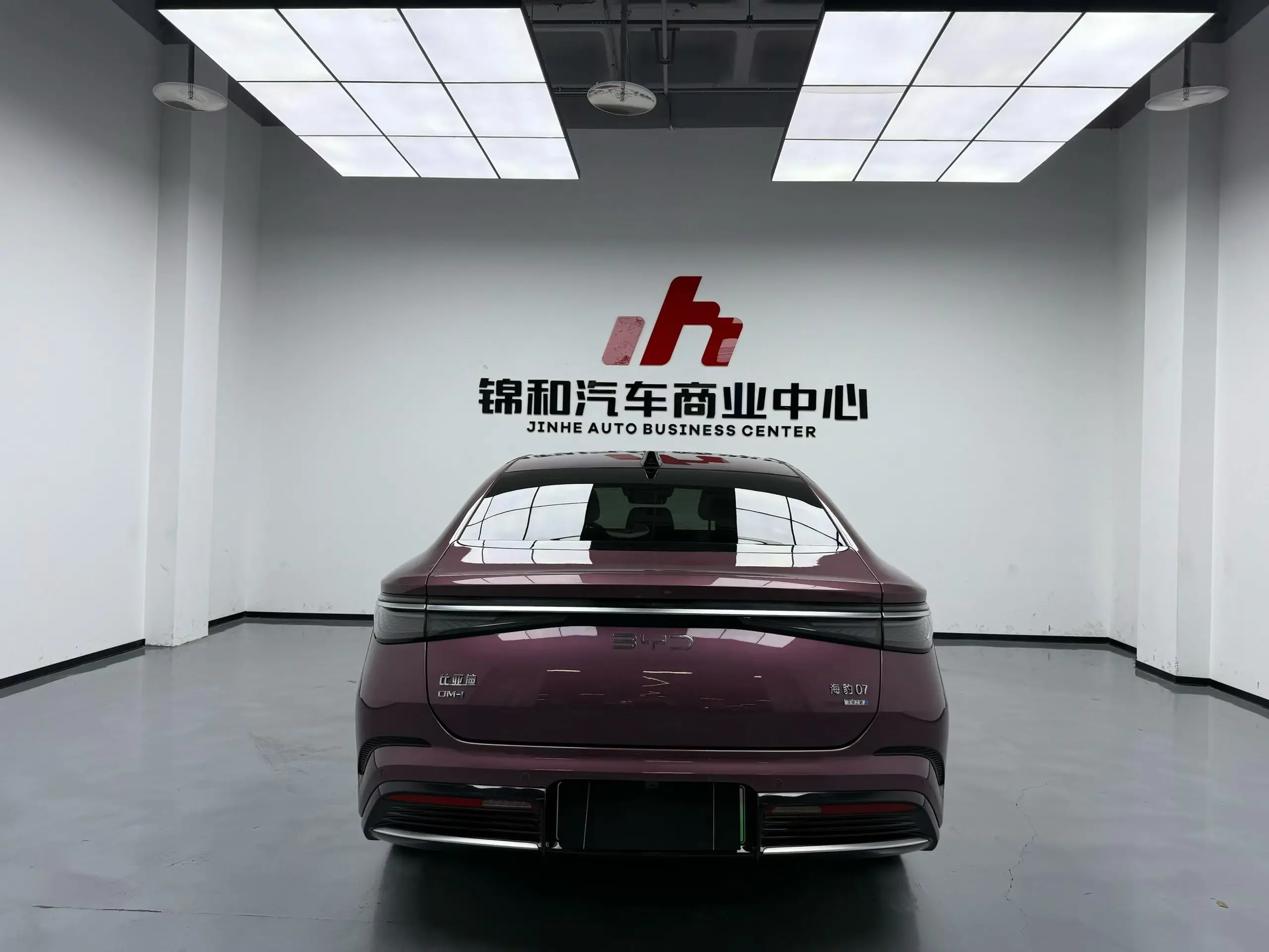 BYD Seal 07DM