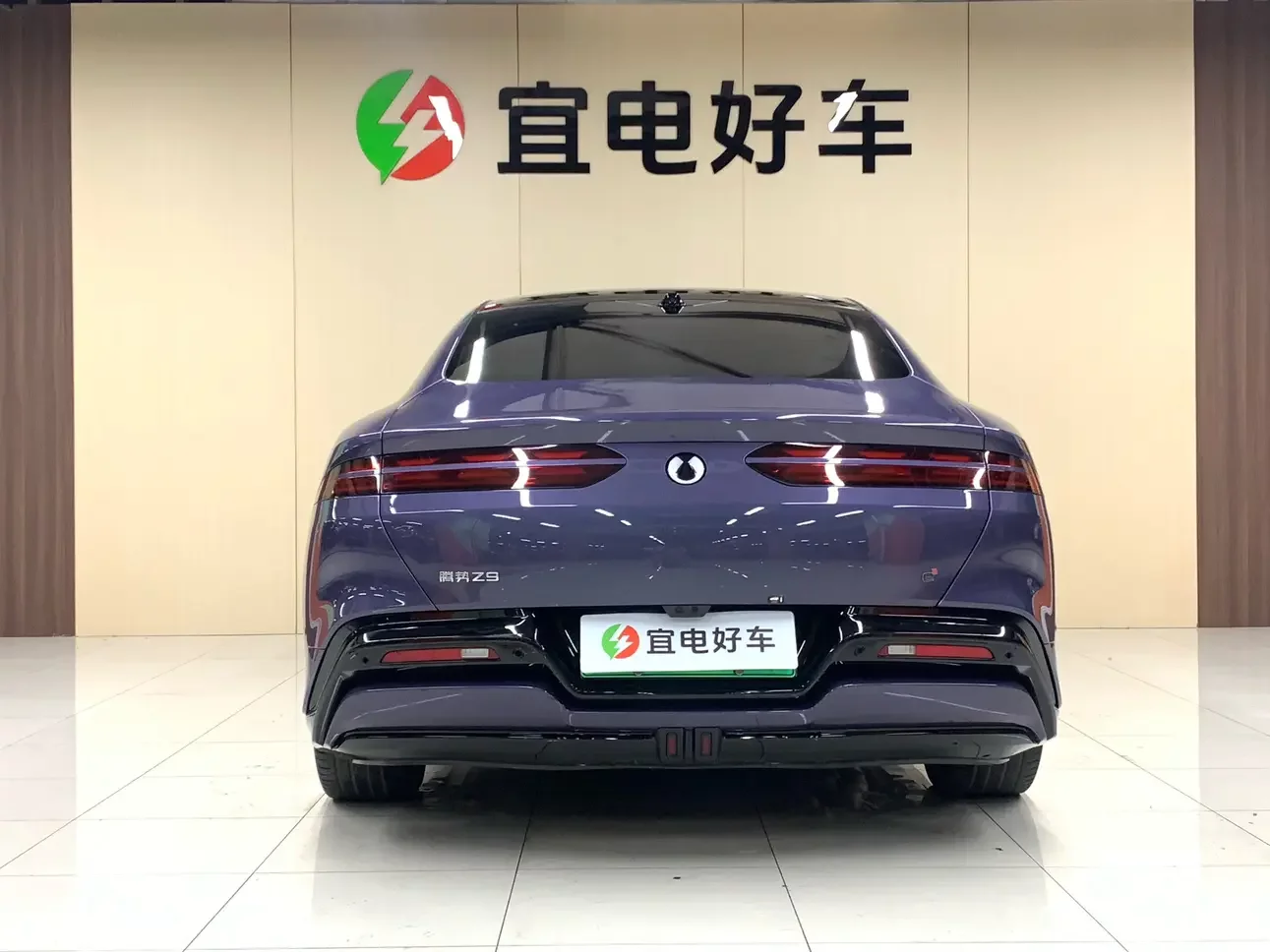 Denza Tengzhong Z9 DM