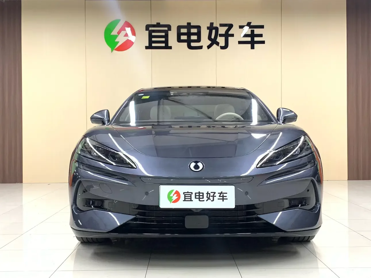 Denza Tengzhong Z9 DM