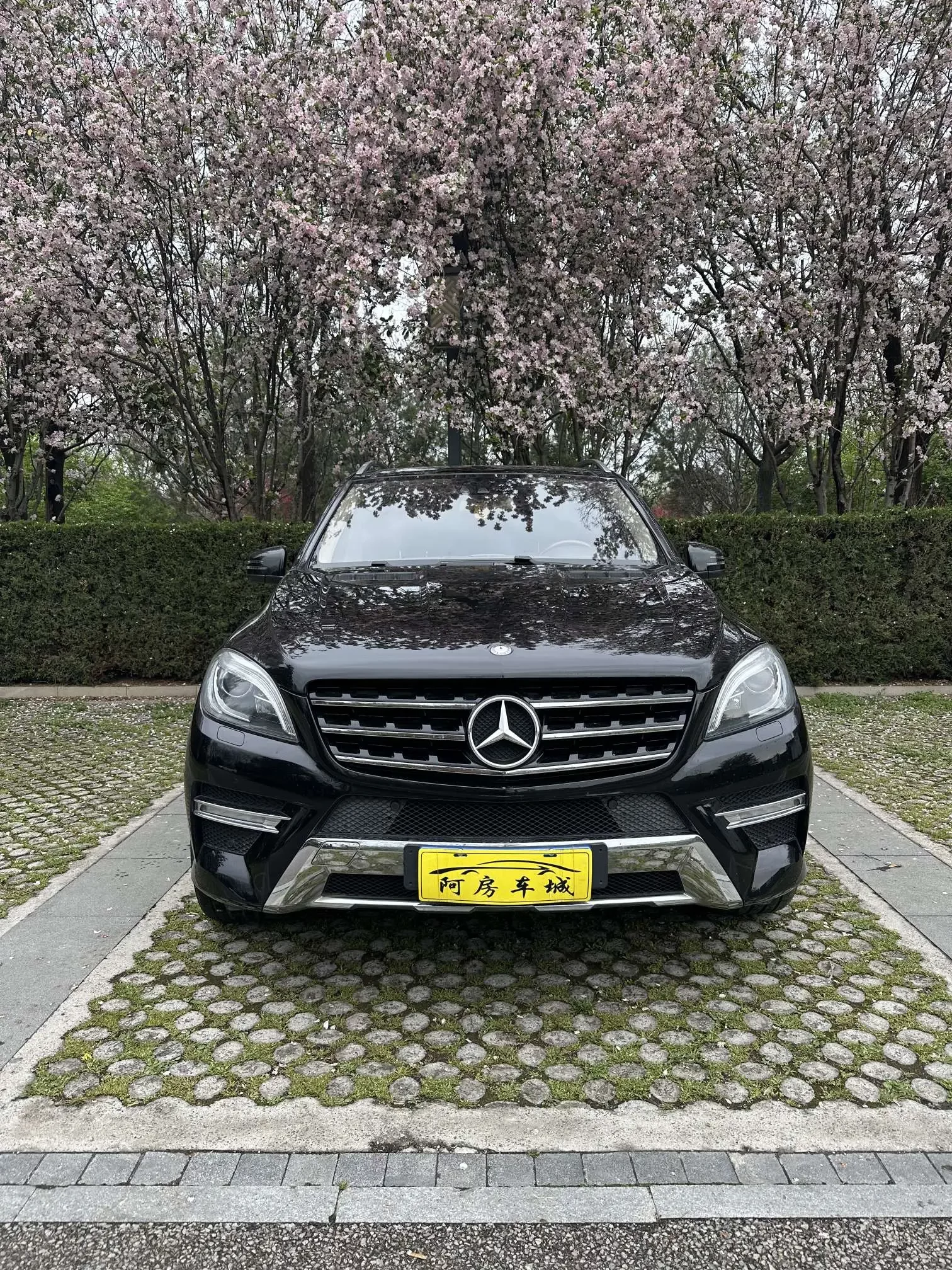 Mercedes-Benz M Class
