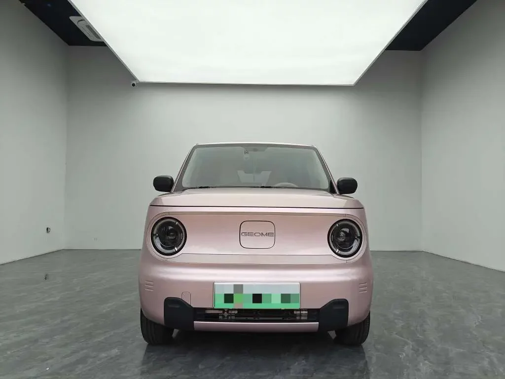 Geely panda
