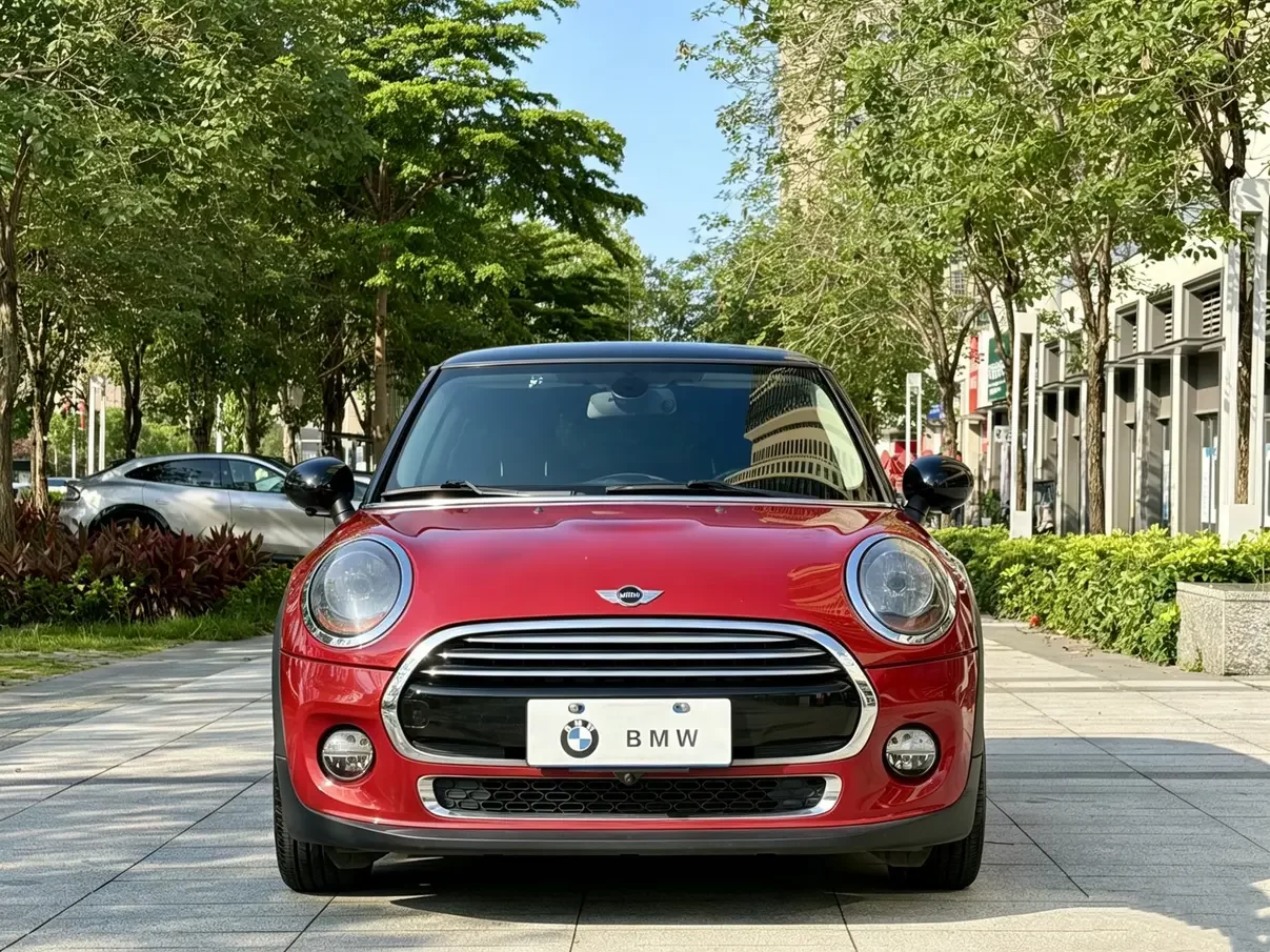 MINI 