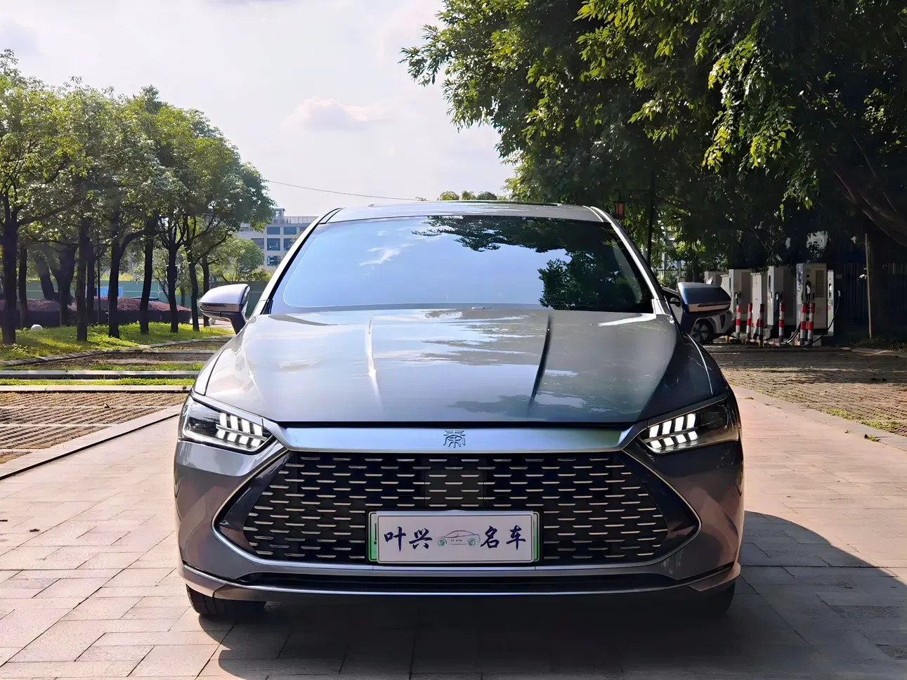 BYD Qin PLUS DM