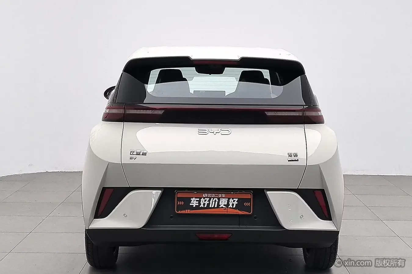 BYD seagull