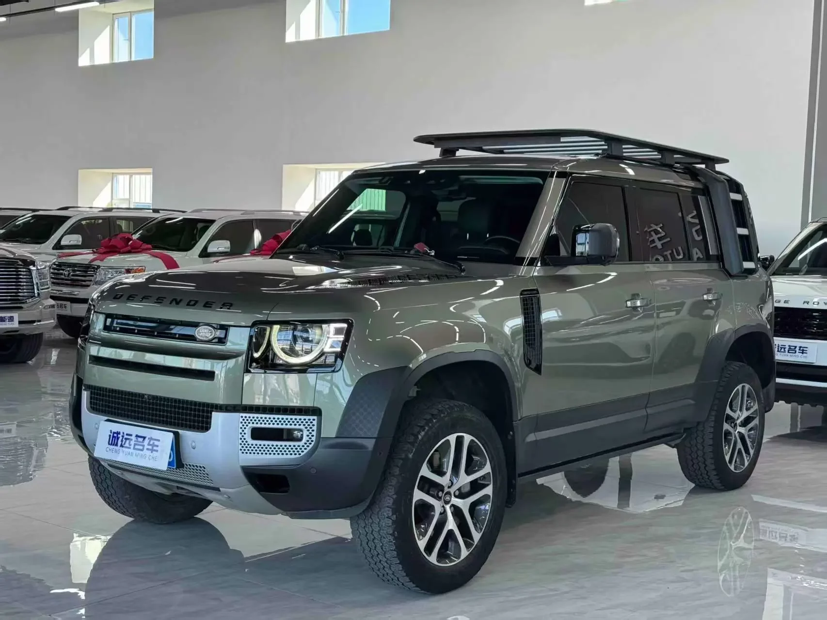 Land Rover guard
