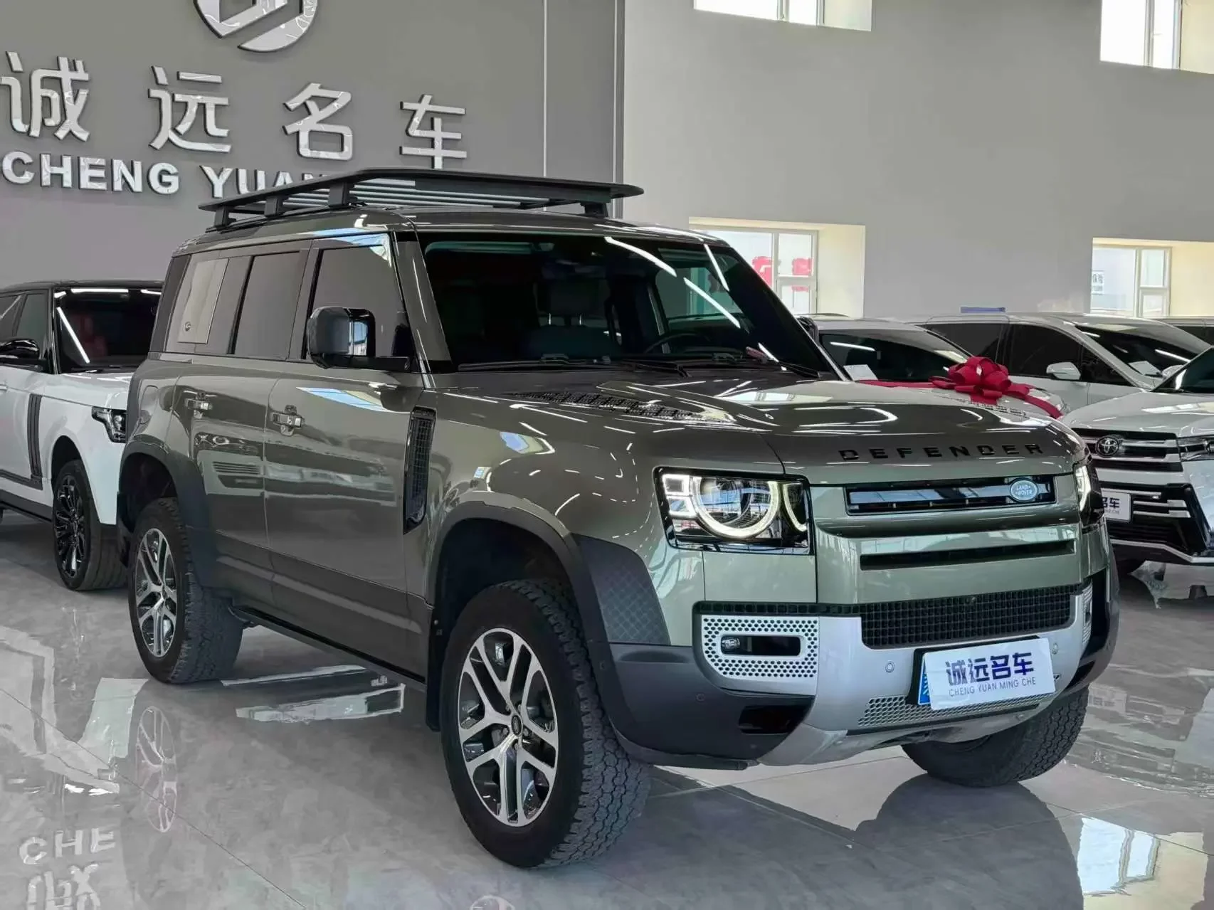 Land Rover guard
