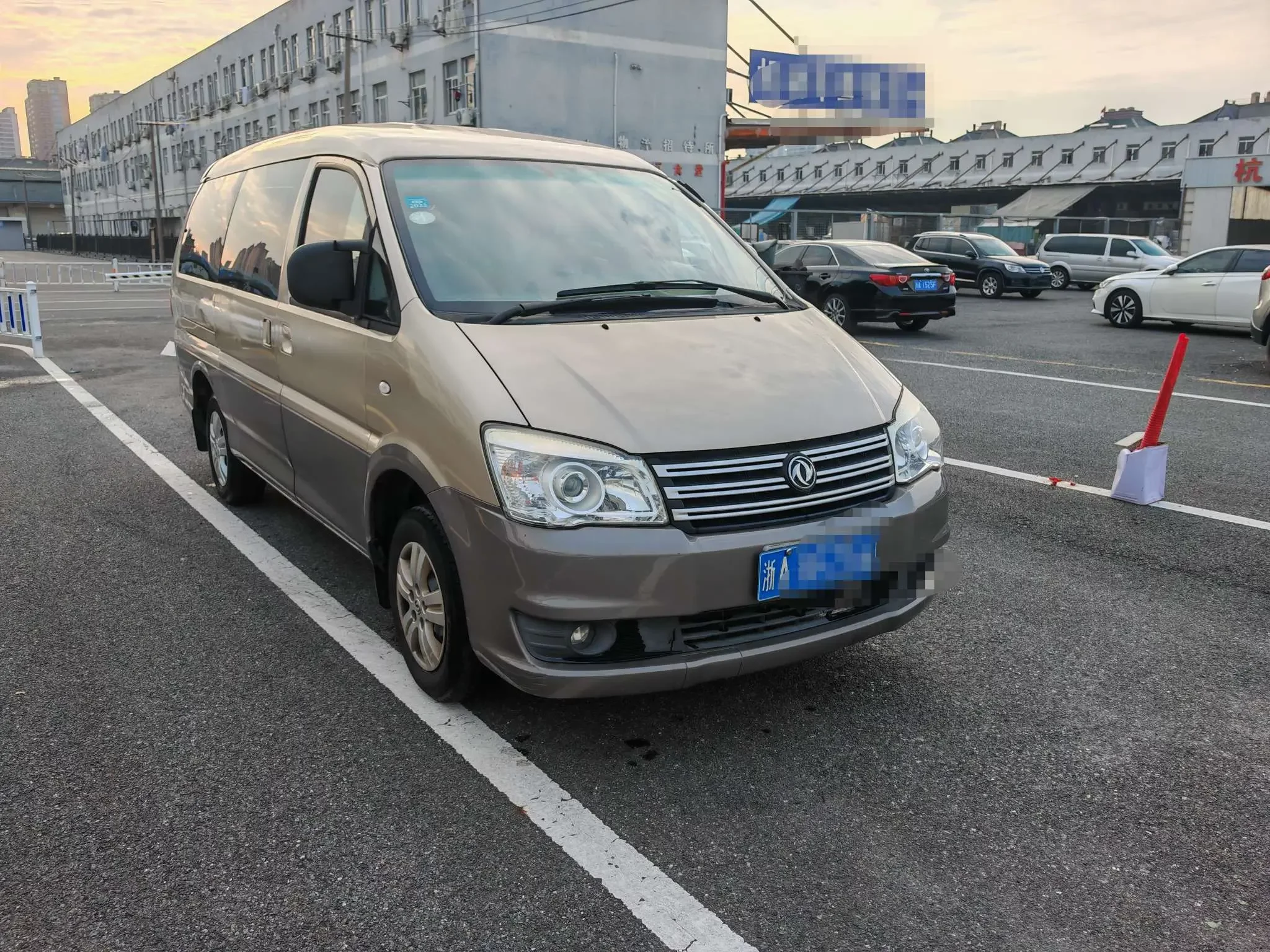 Forthing Lingzhi