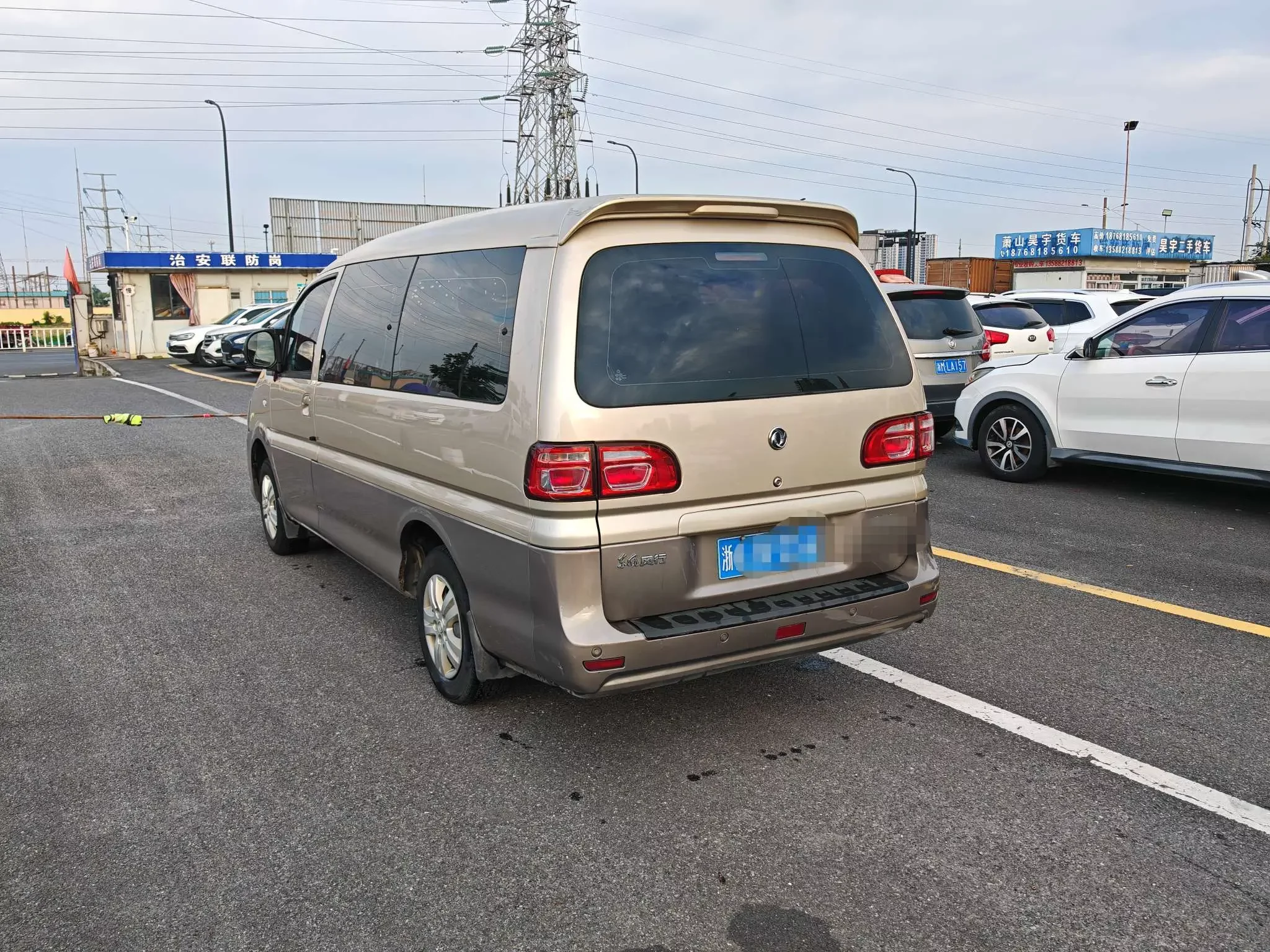 Forthing Lingzhi