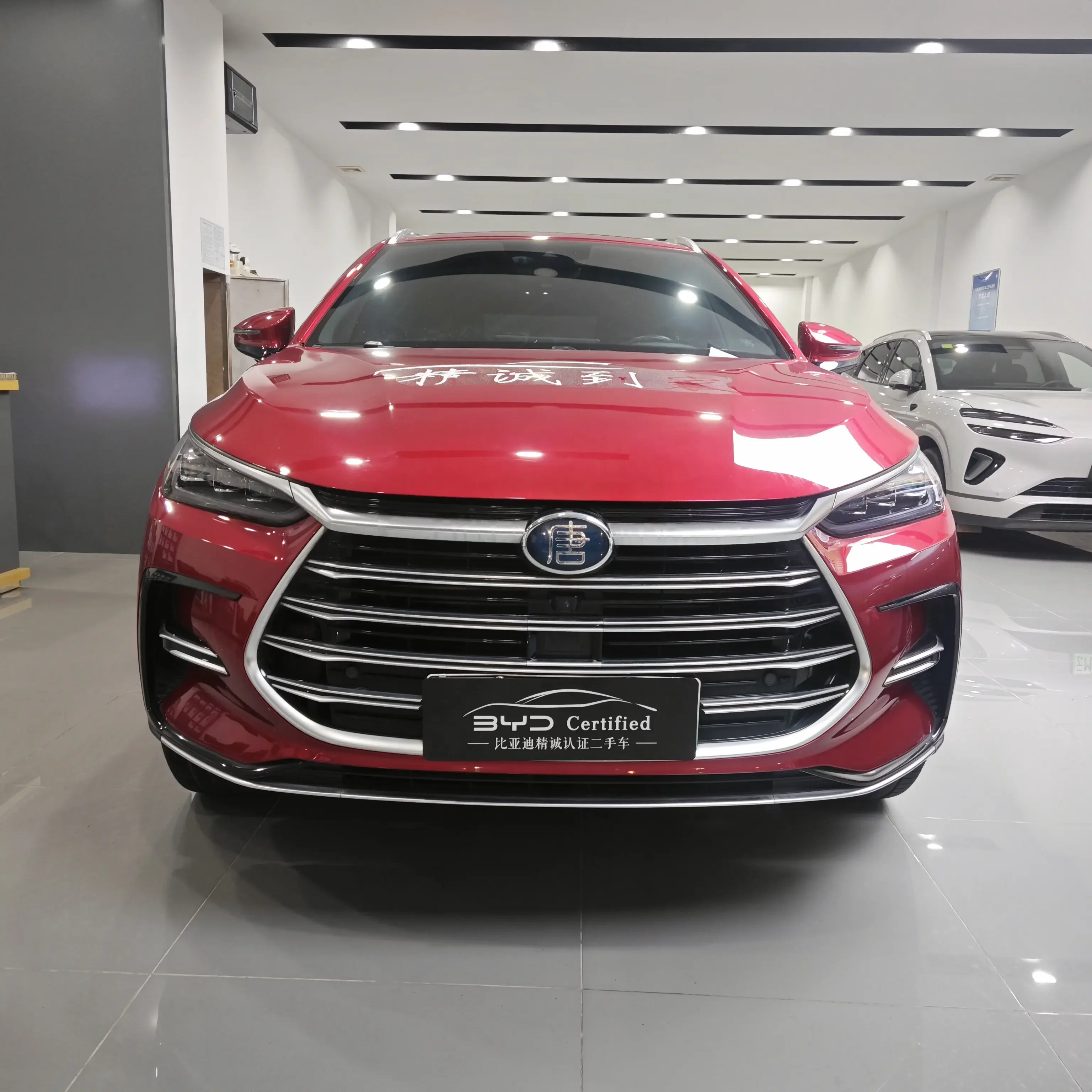 BYD Tang DM