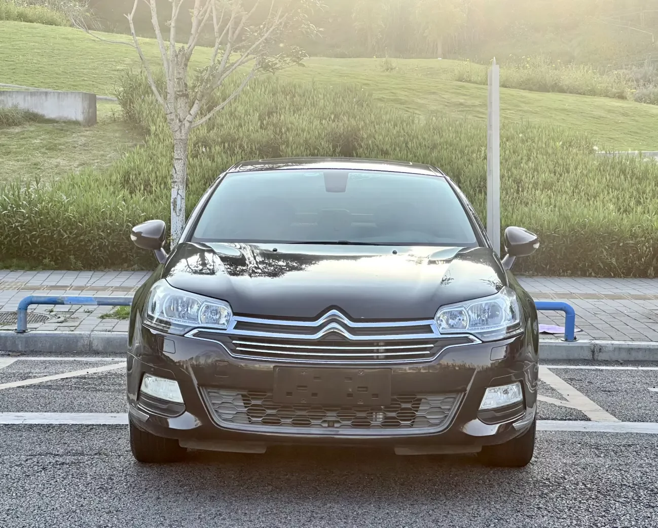 Citroën Citroen C5