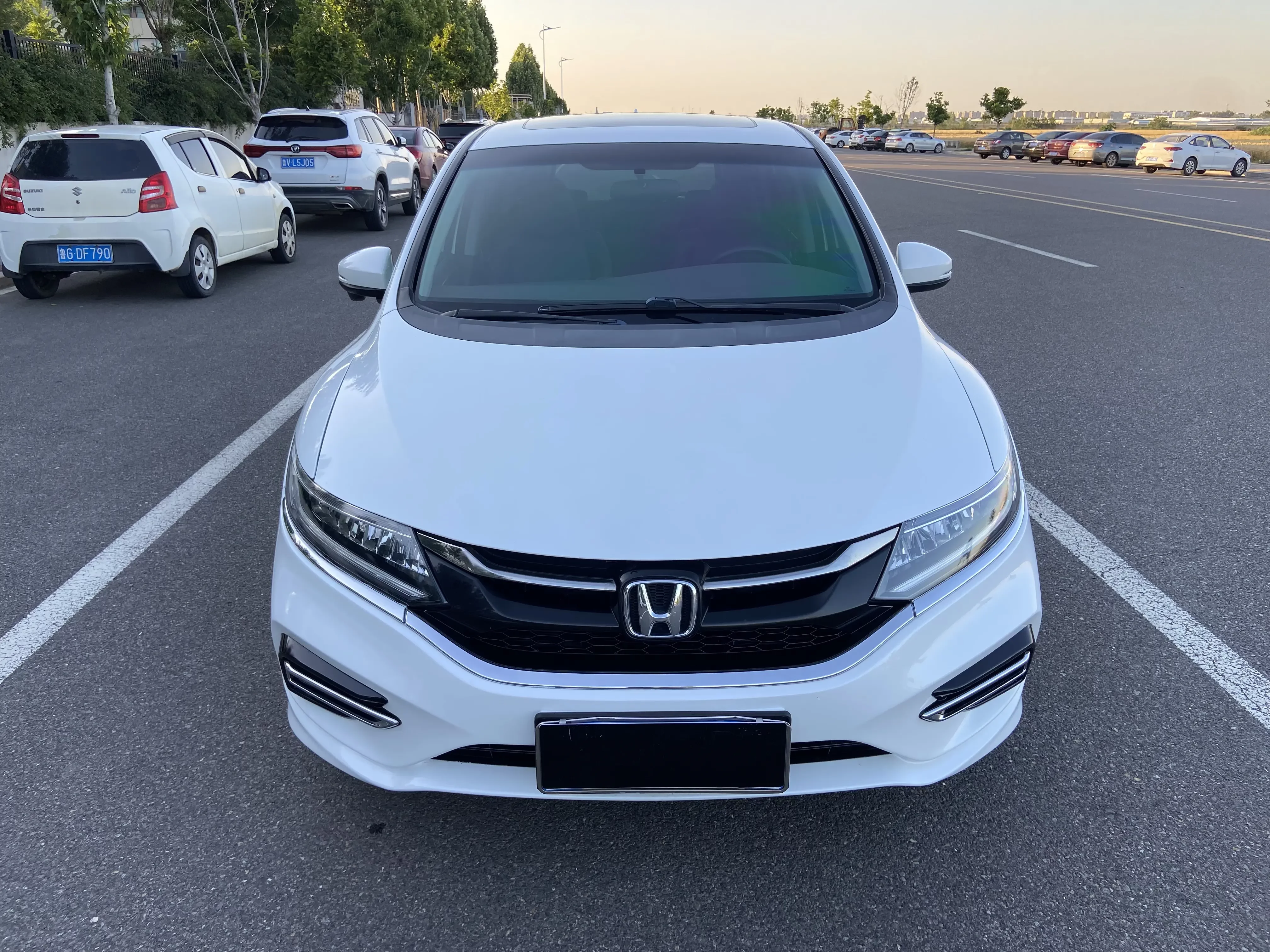 Honda Jed