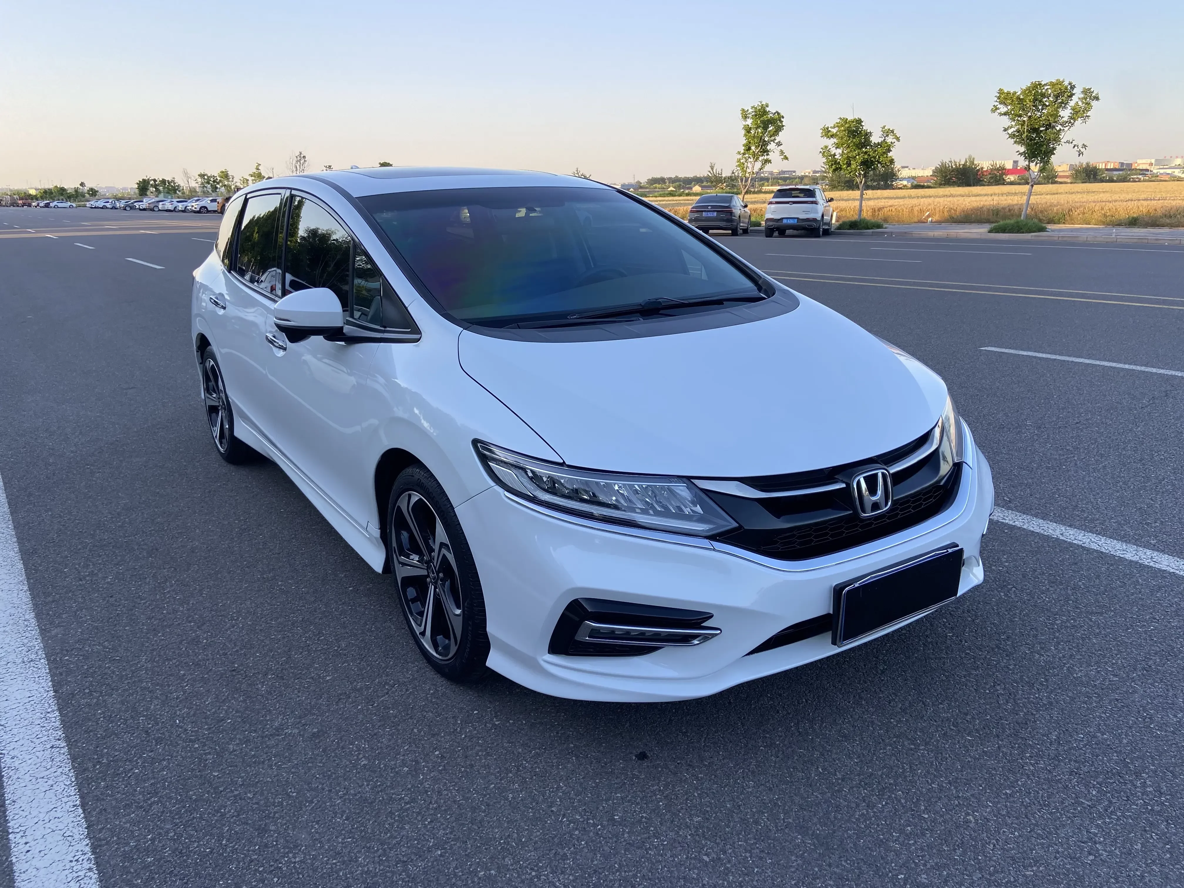 Honda Jed
