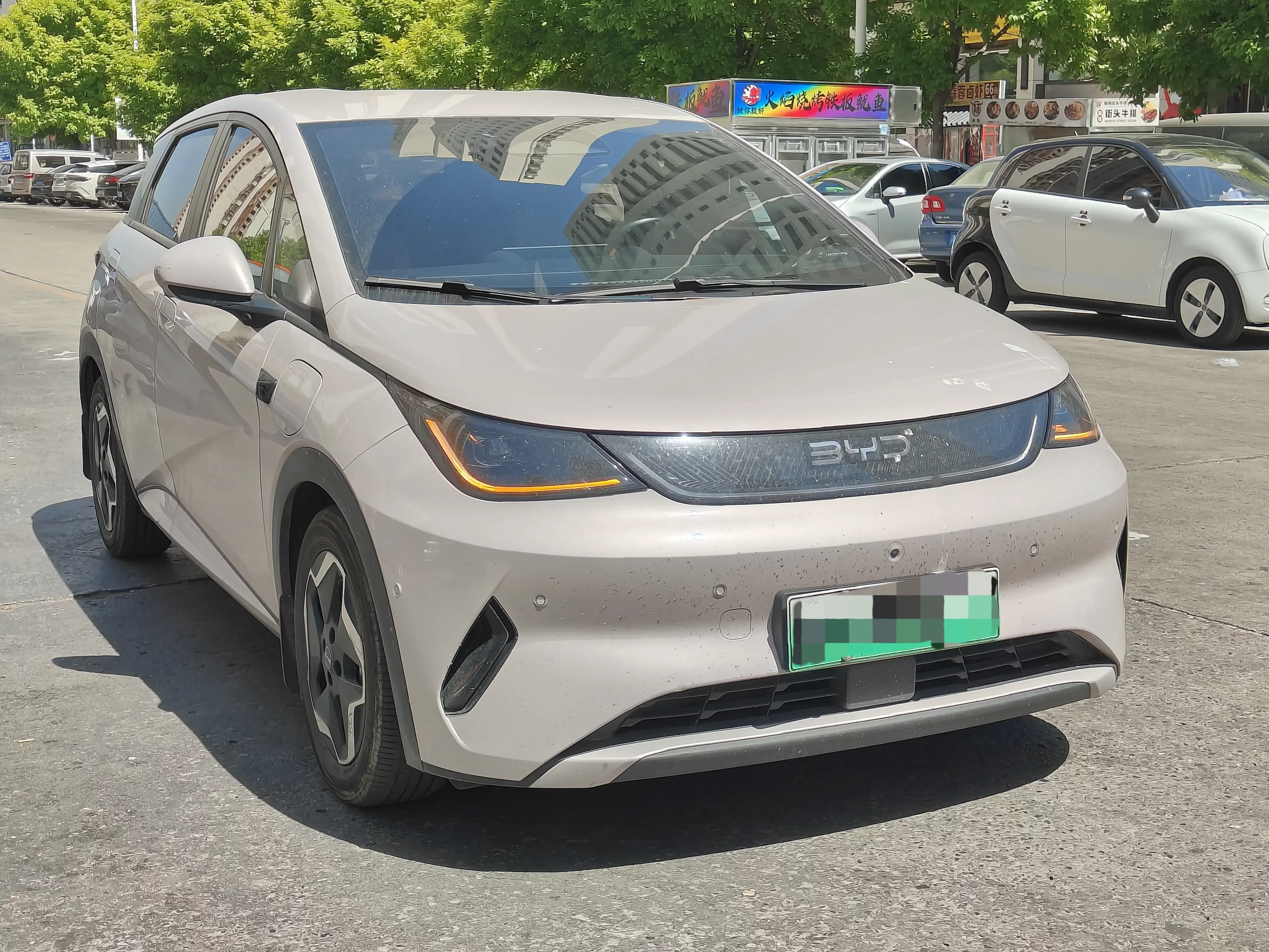 BYD dolphin