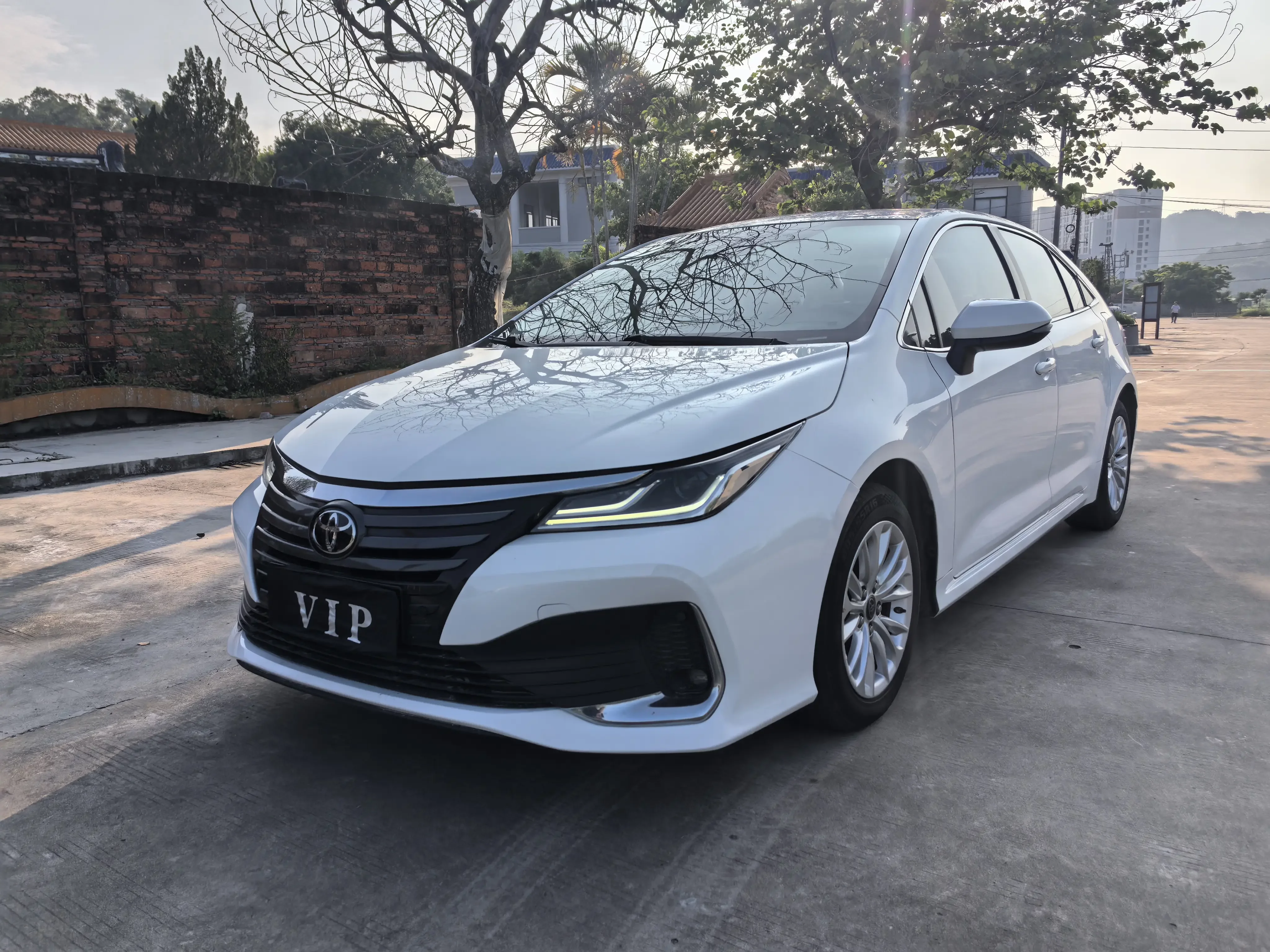 Toyota Asiatic lion