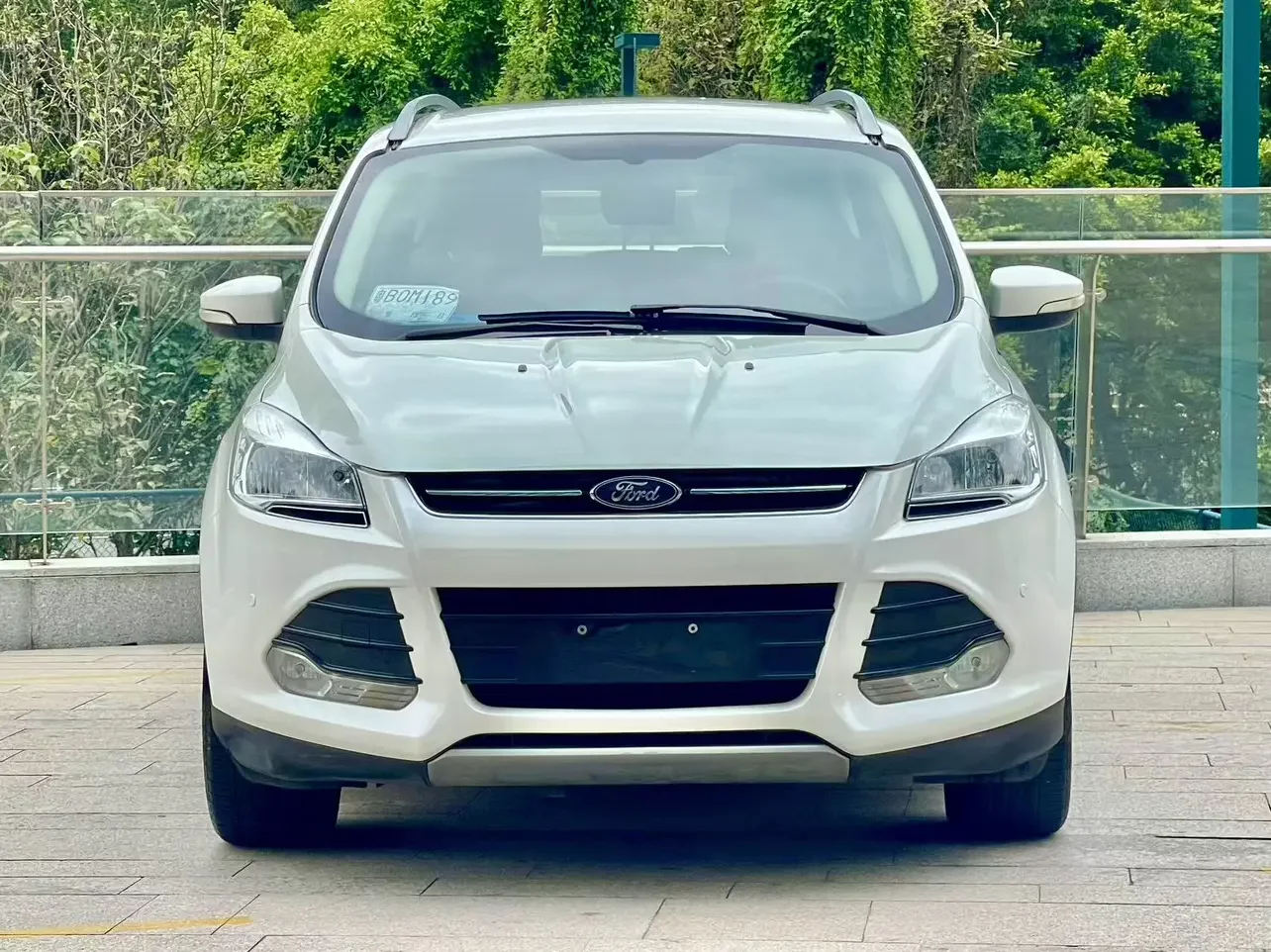 Ford wing tiger