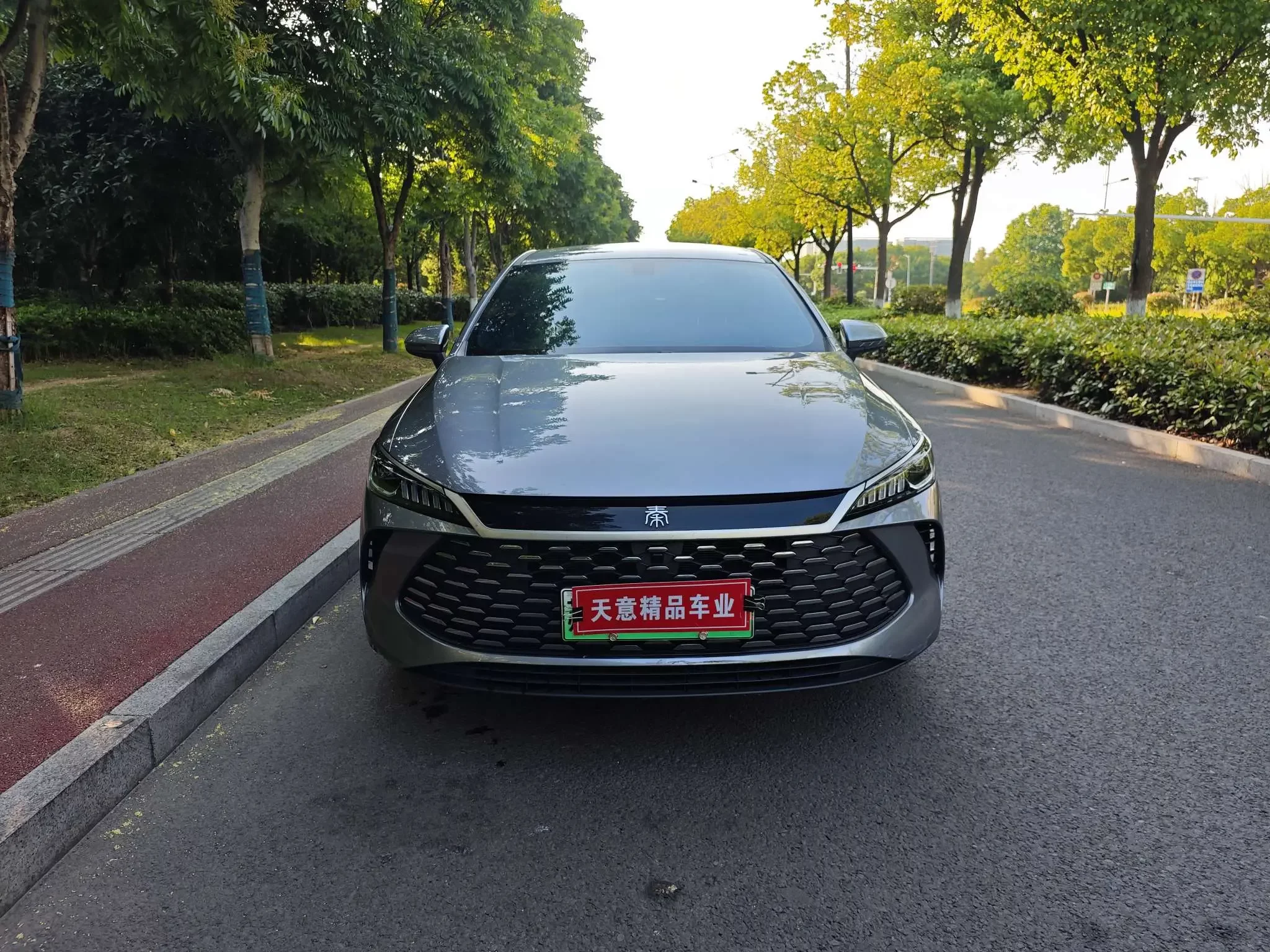BYD Qin PLUS DM