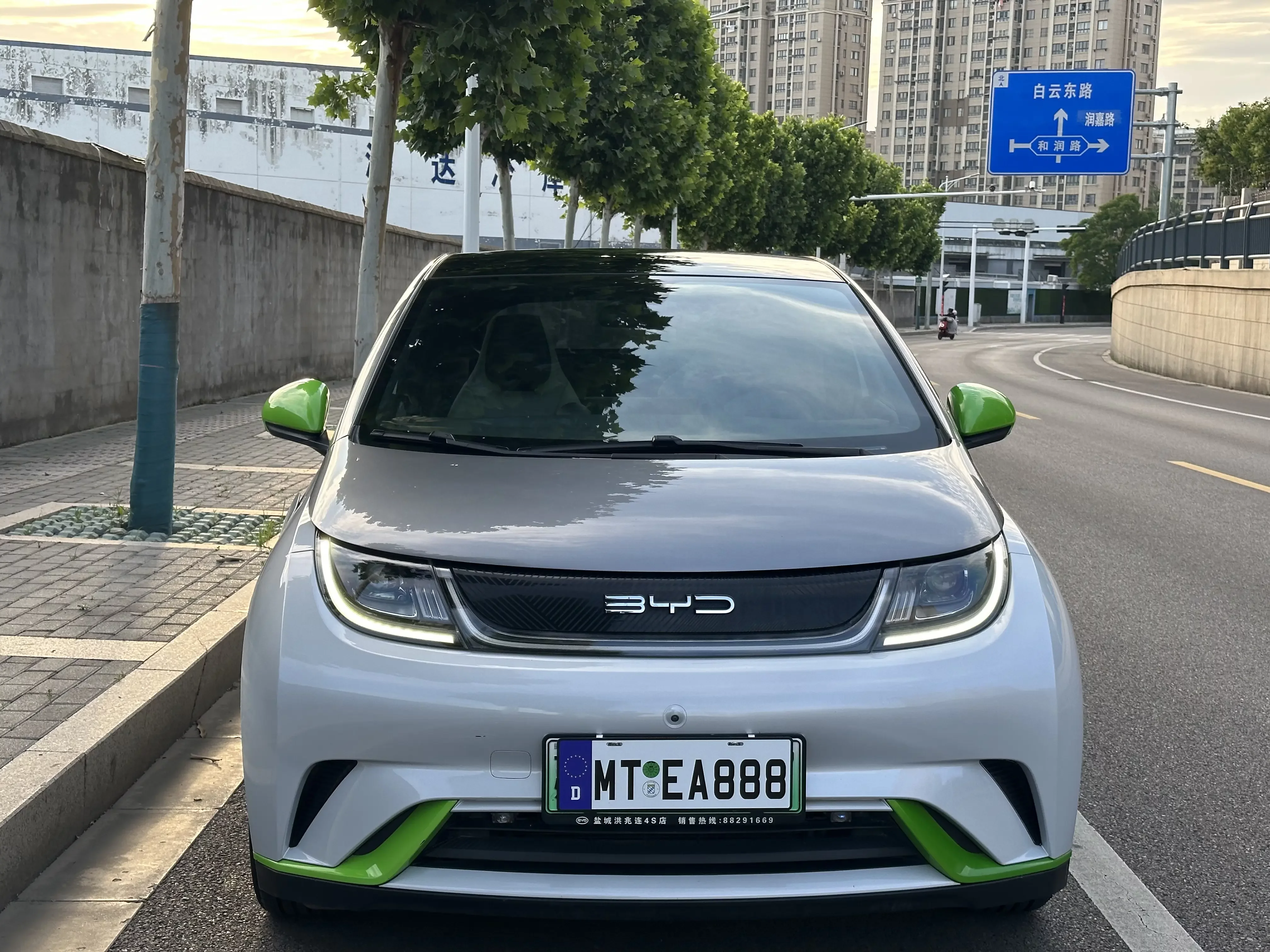 BYD dolphin