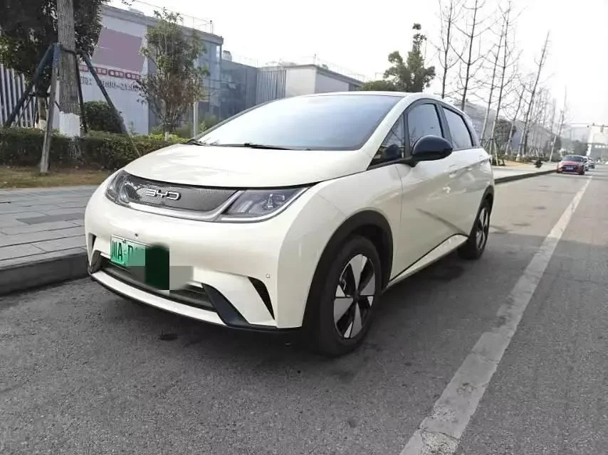 BYD dolphin