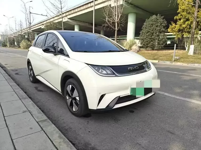 BYD dolphin