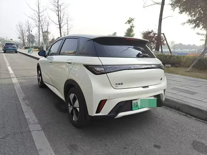 BYD dolphin