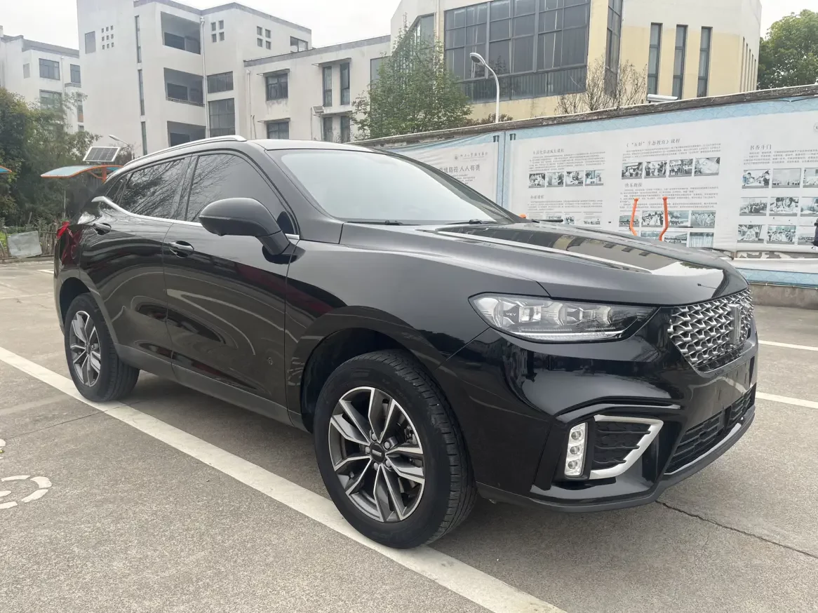 Wey Wei brand VV5