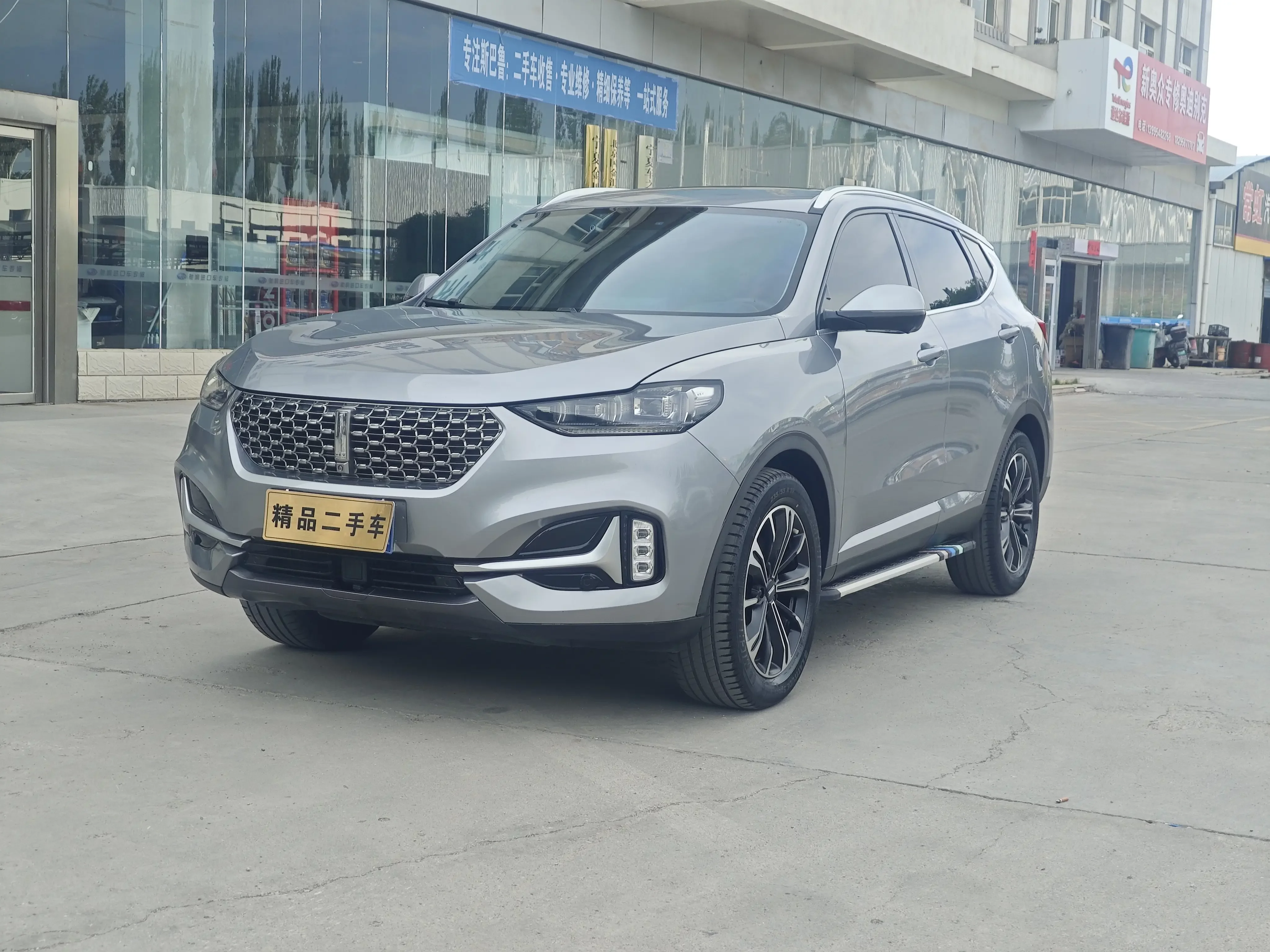 Wey Wei brand VV6