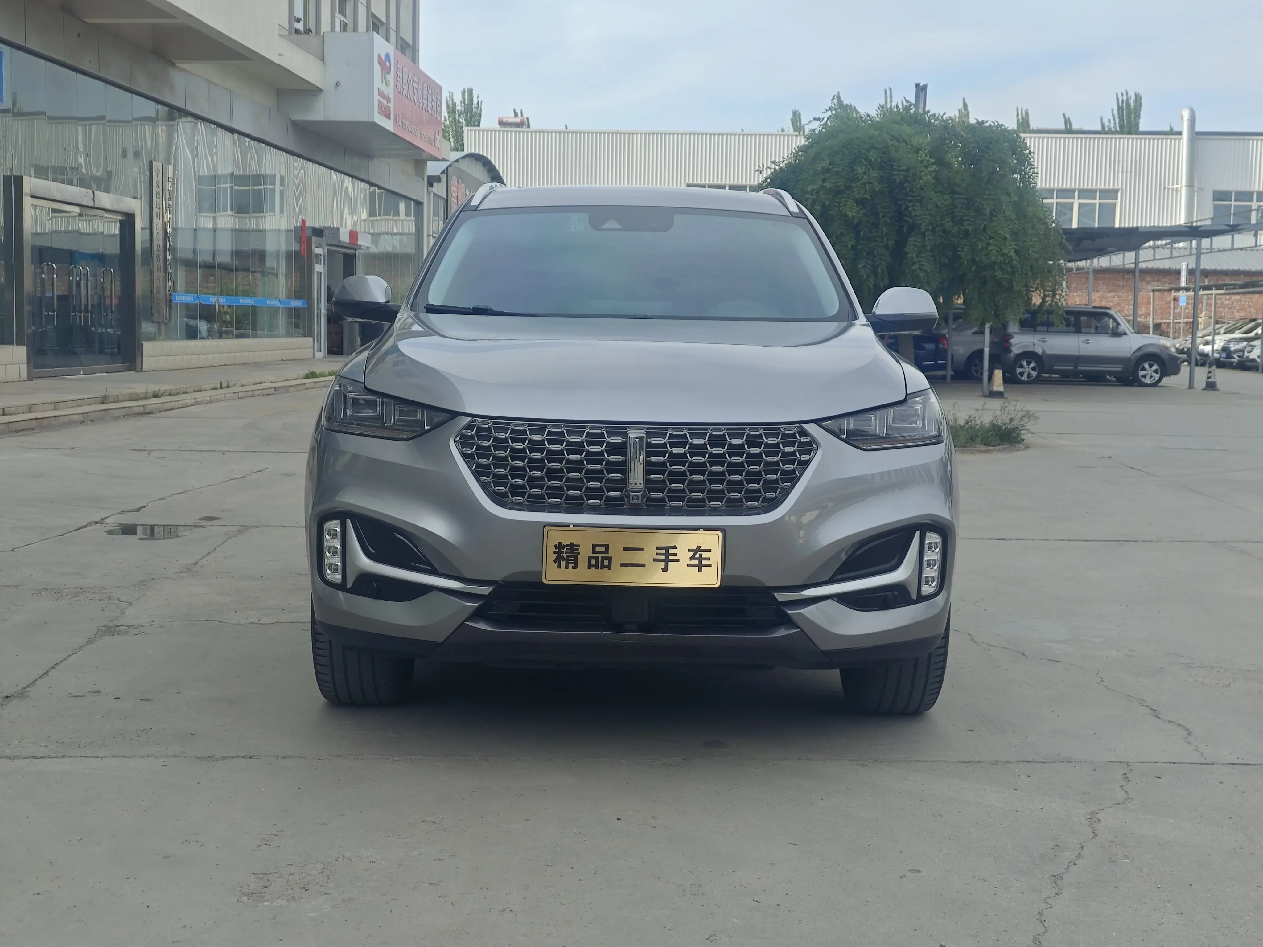 Wey Wei brand VV6