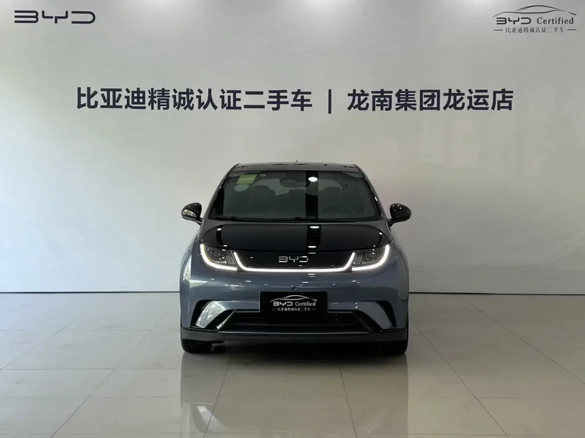 BYD dolphin
