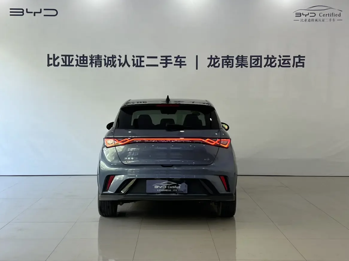 BYD dolphin