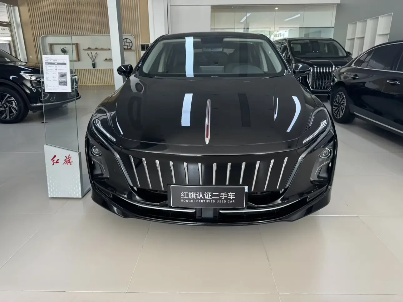 Hongqi E-QM5