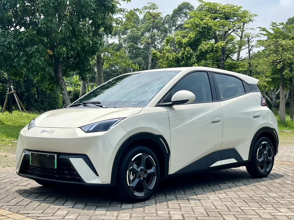 BYD seagull