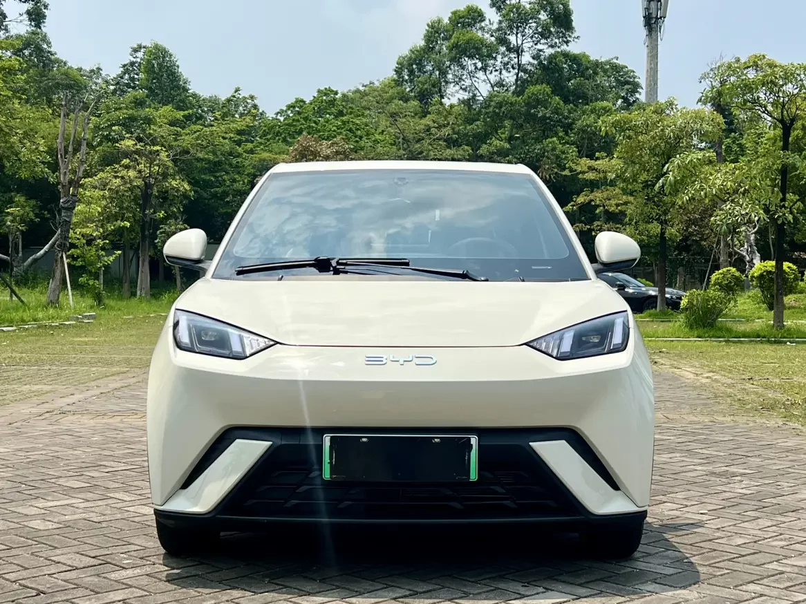 BYD seagull